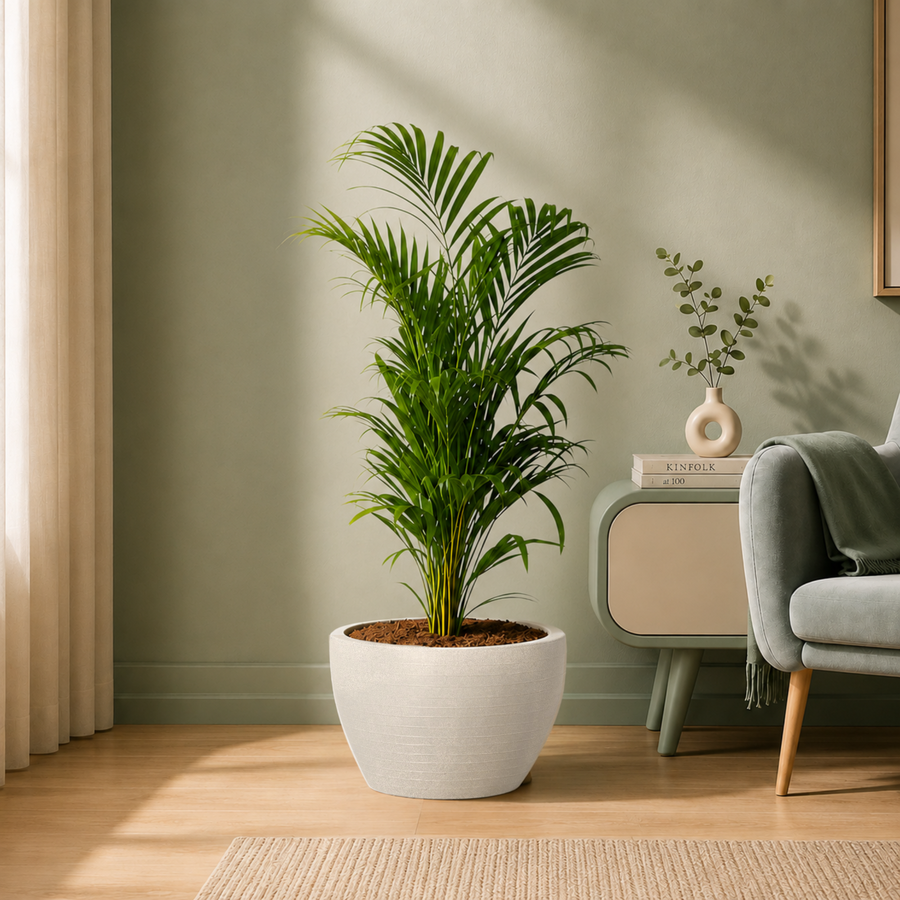 Indoor Outdoor Planters