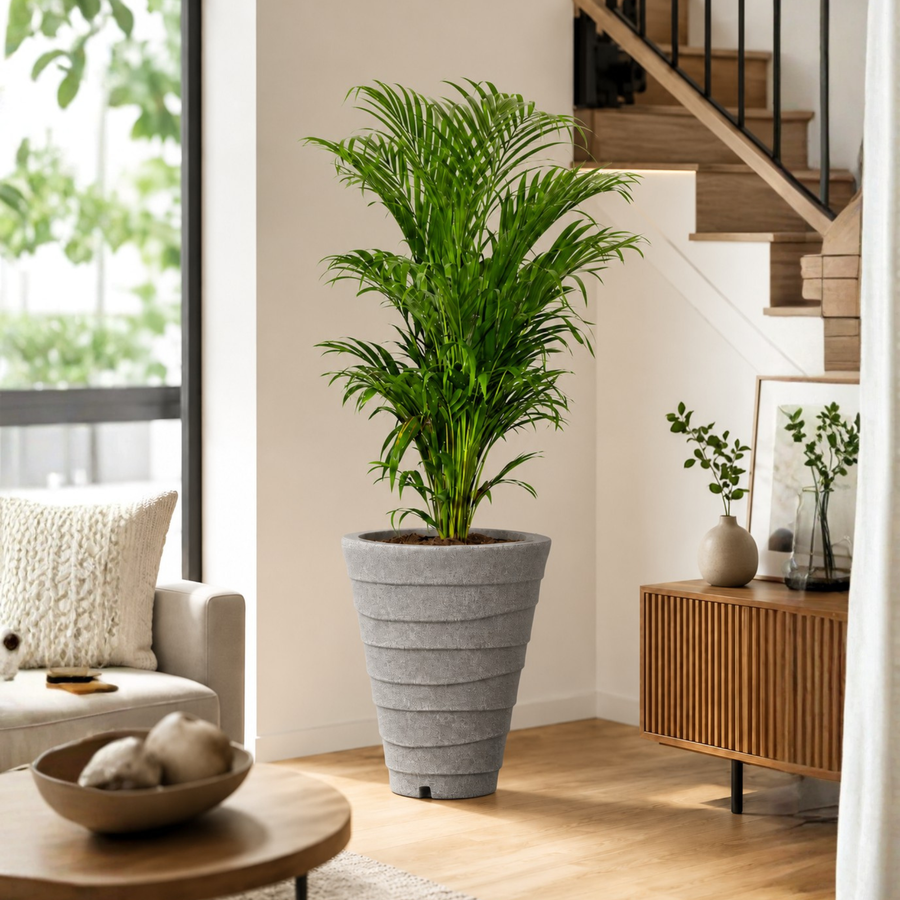 All Planter