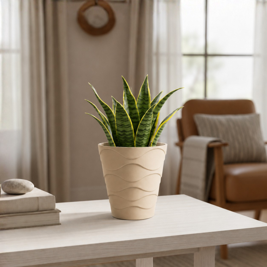 Table Top Planters