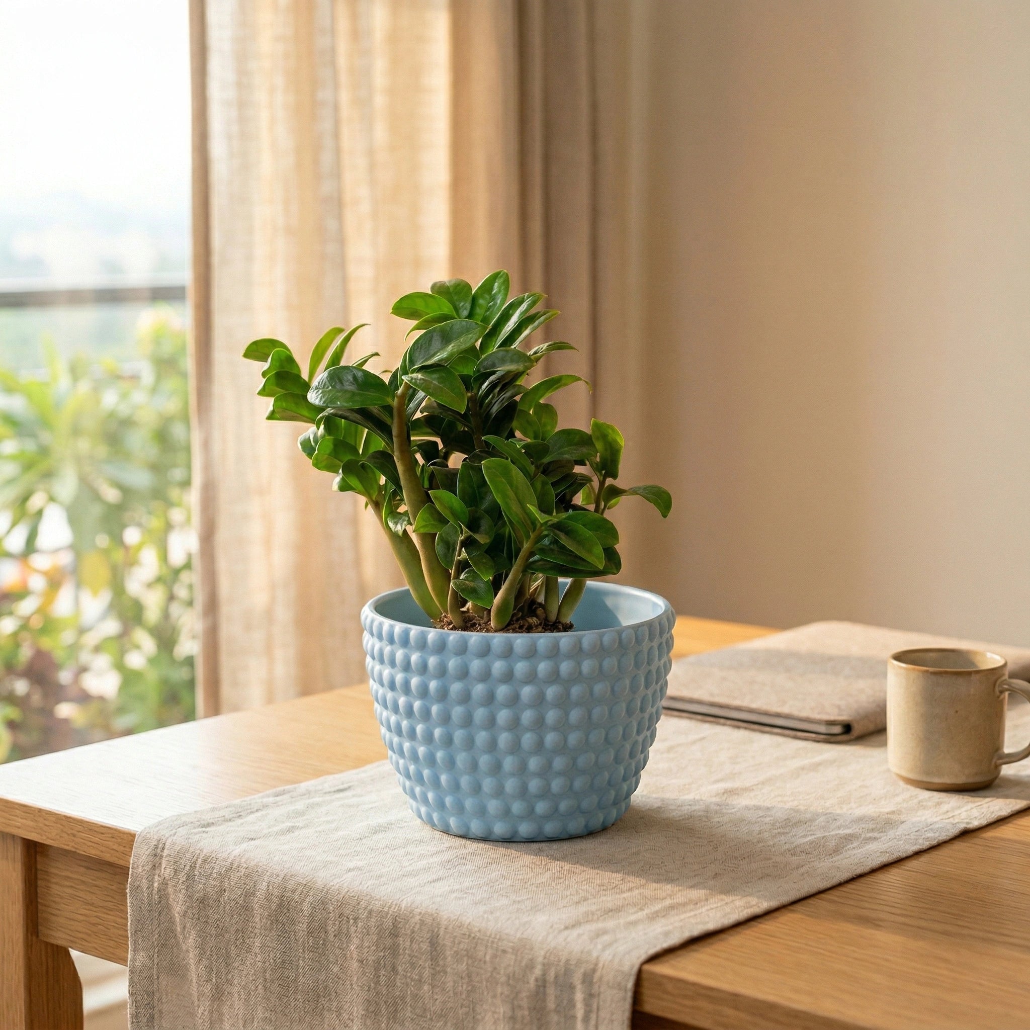 Polka Dot Tabletop Planter Pot