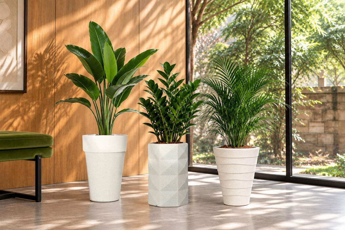Decorative Planters Online India: The Buying Guide for Modern Homes