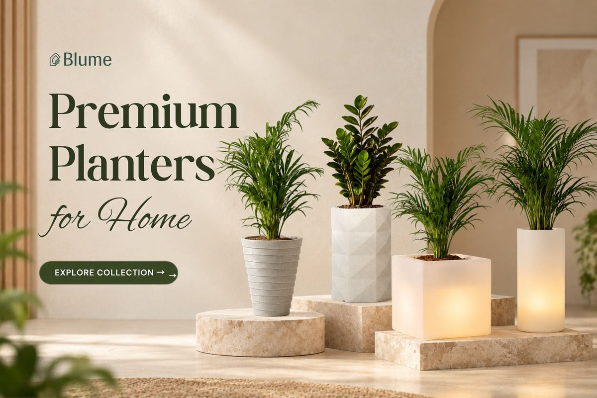 Premium Planters for Home: What Actually Matters Before Buying One