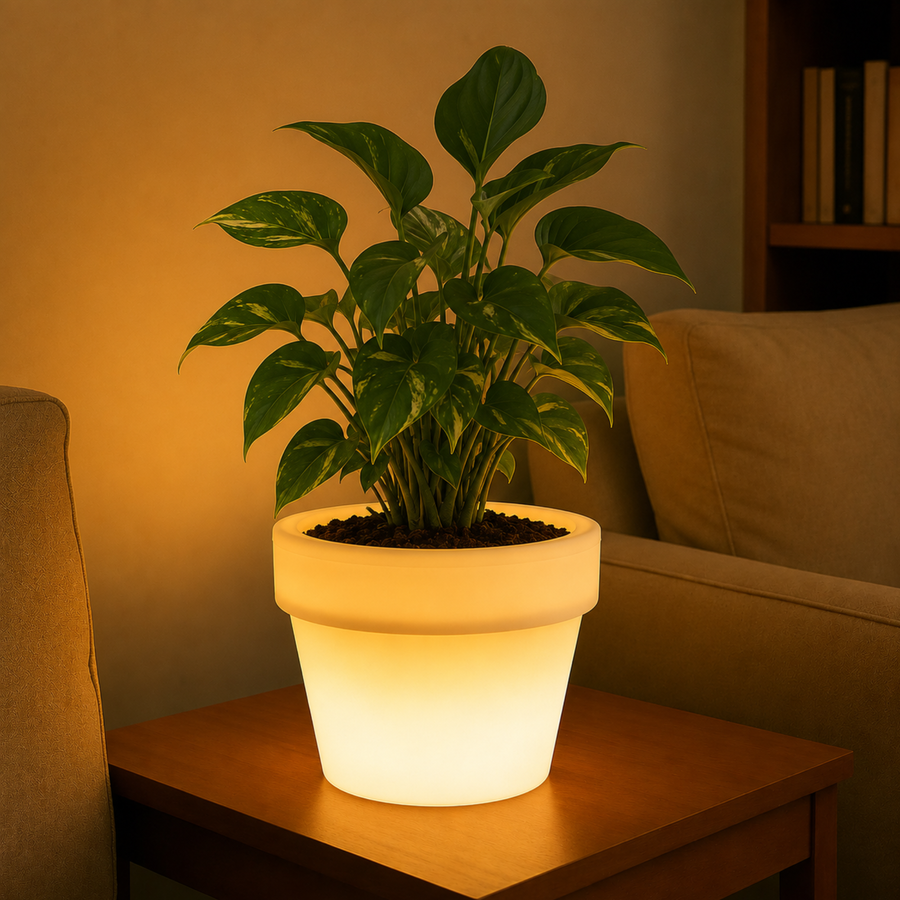 Illuminated Planters
