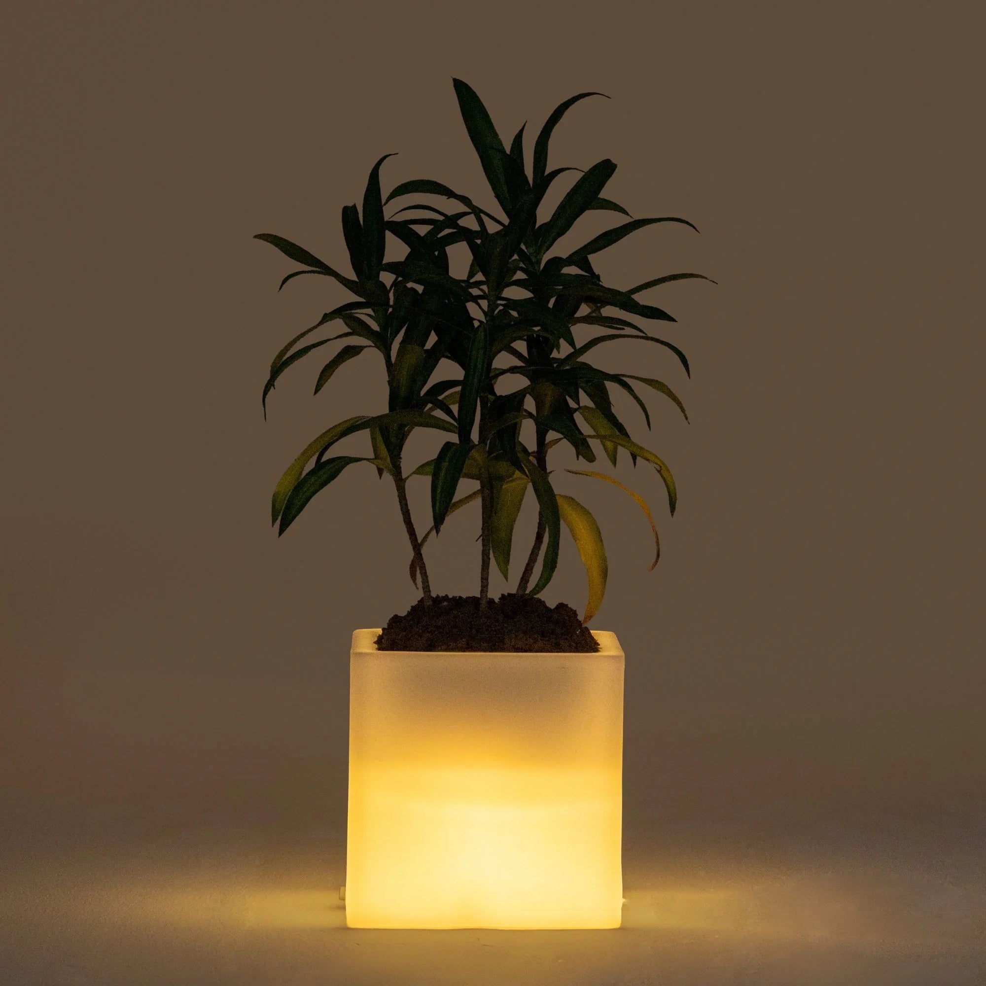 LED Planter