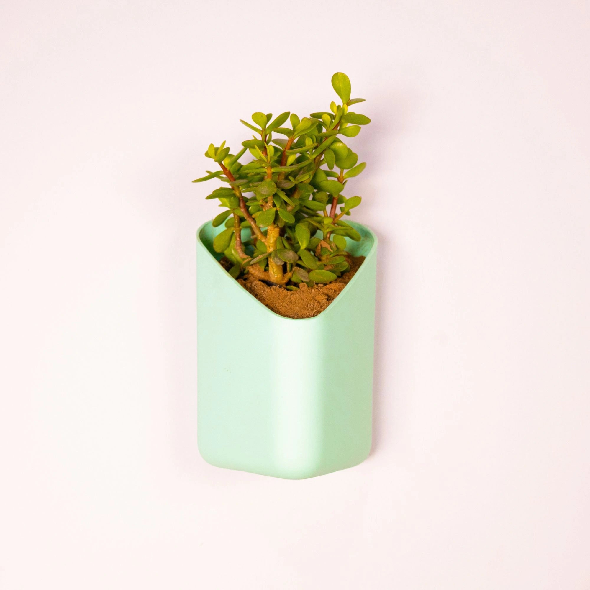 Prism Hanging Planter