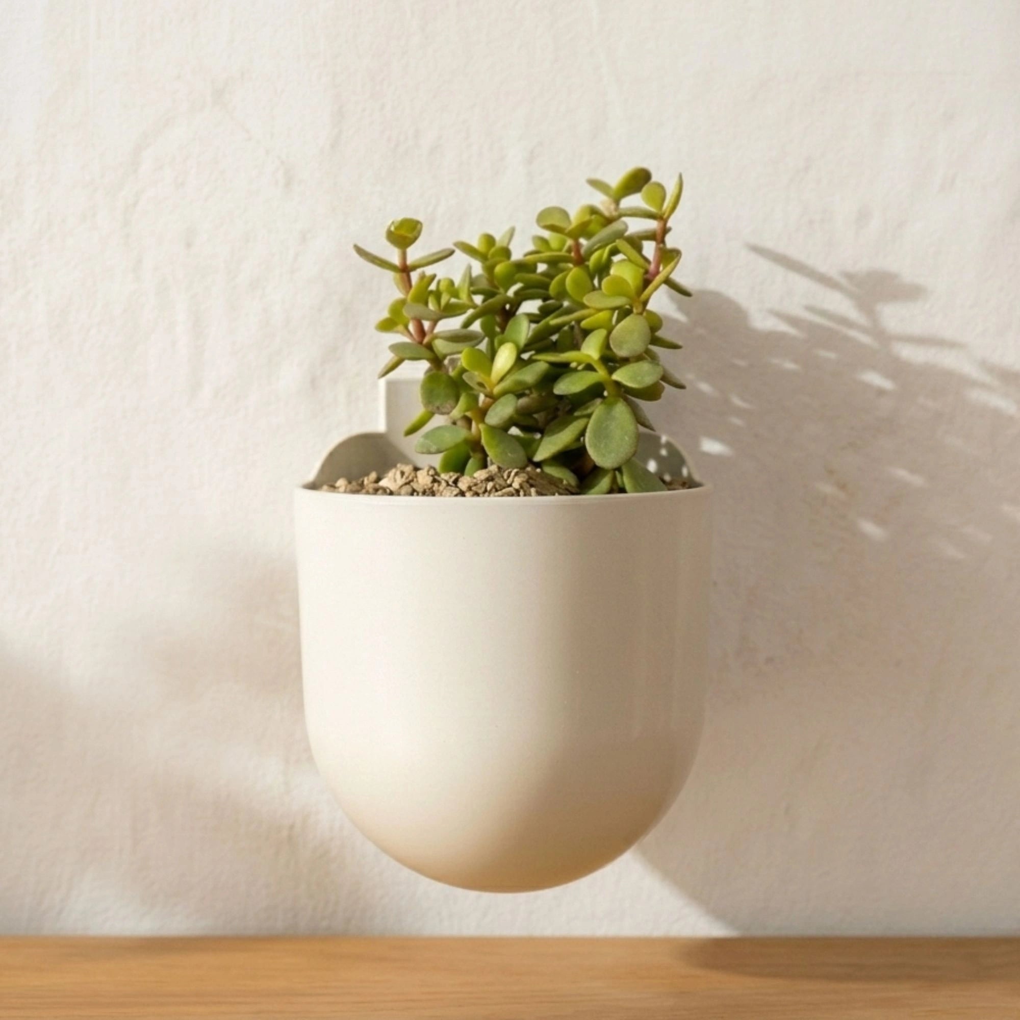 Bubble Hanging Planter