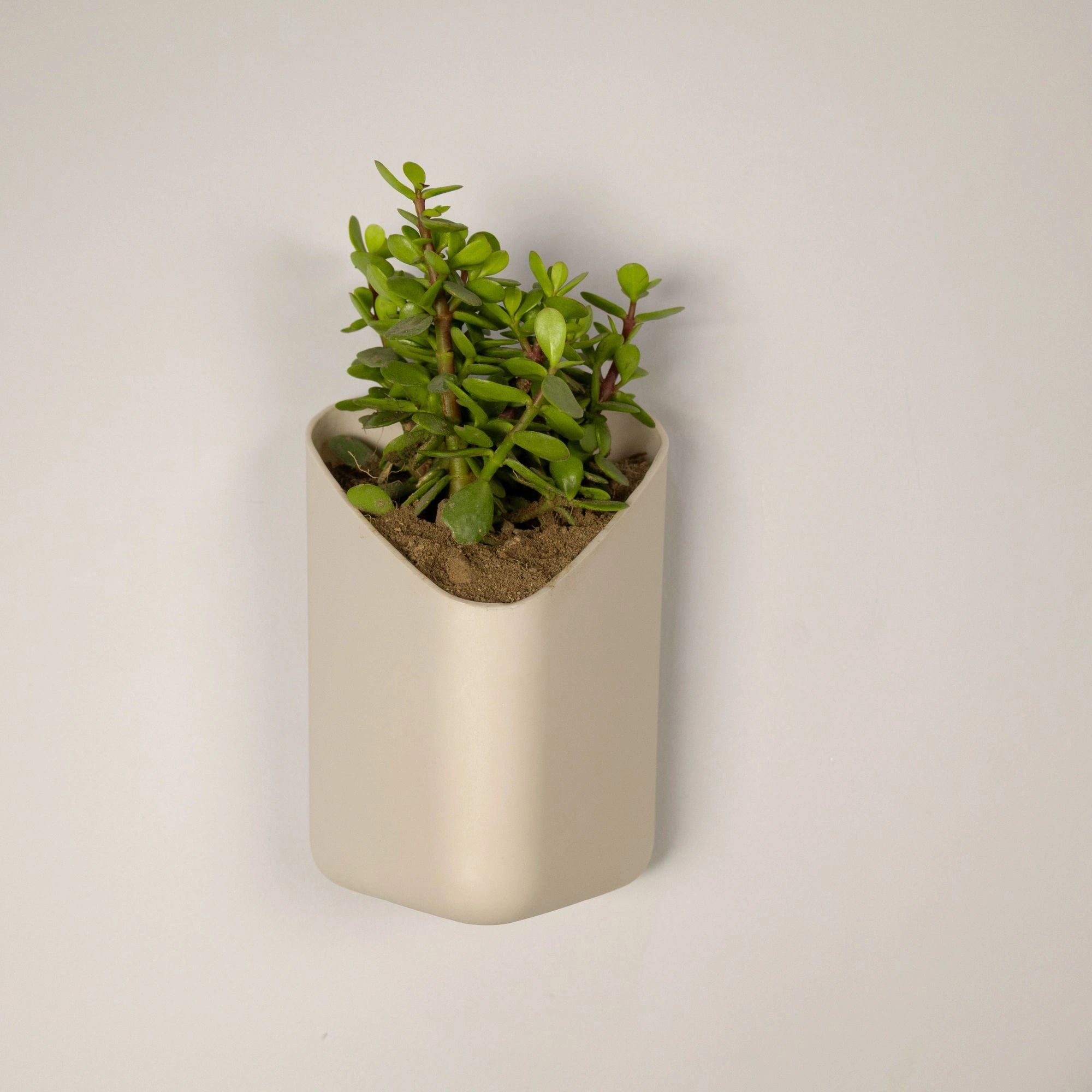 Prism Hanging Planter