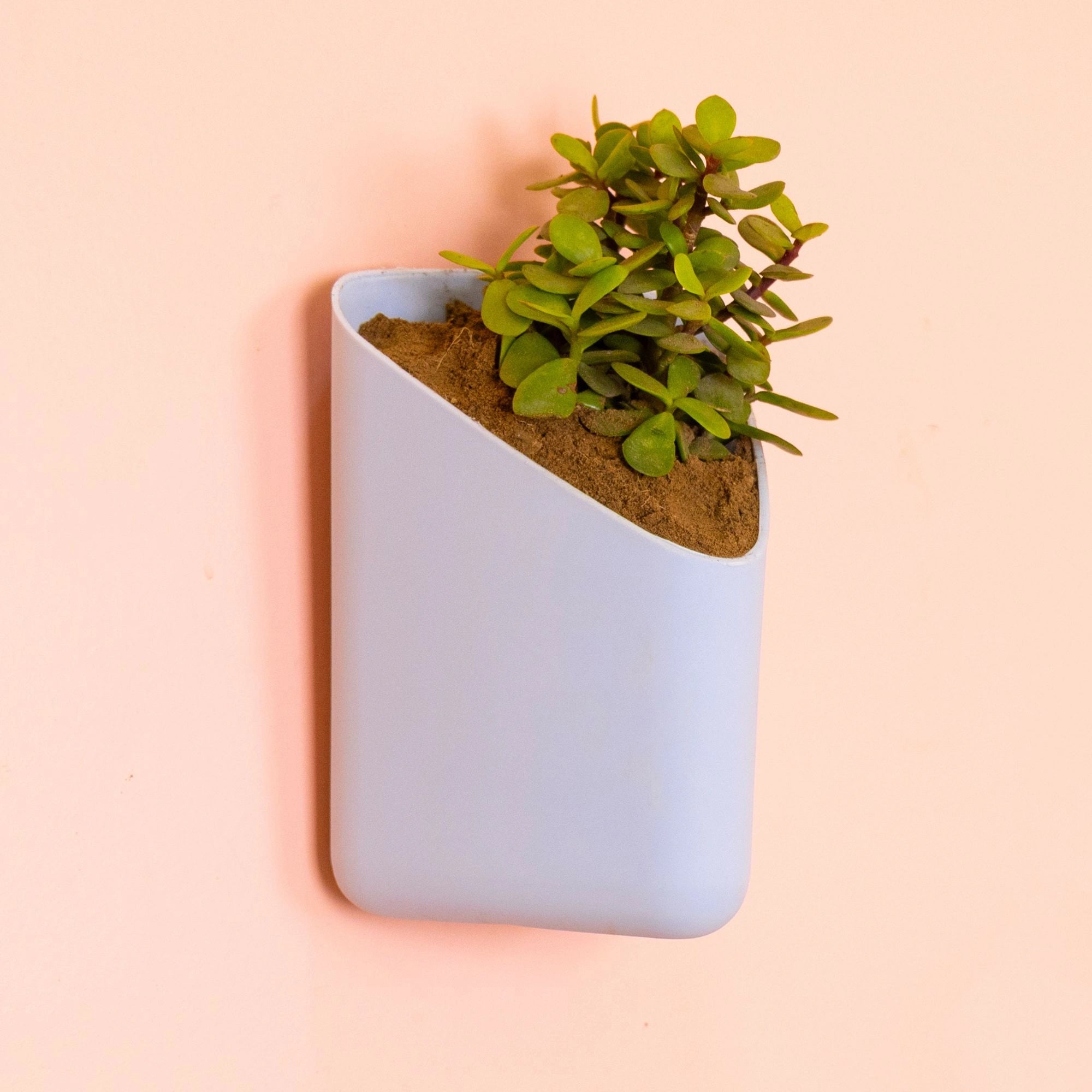 Prism Hanging Planter