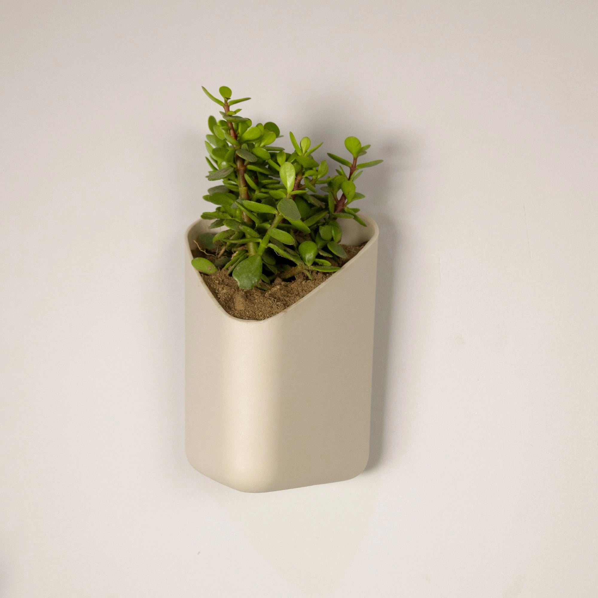 Prism Hanging Planter