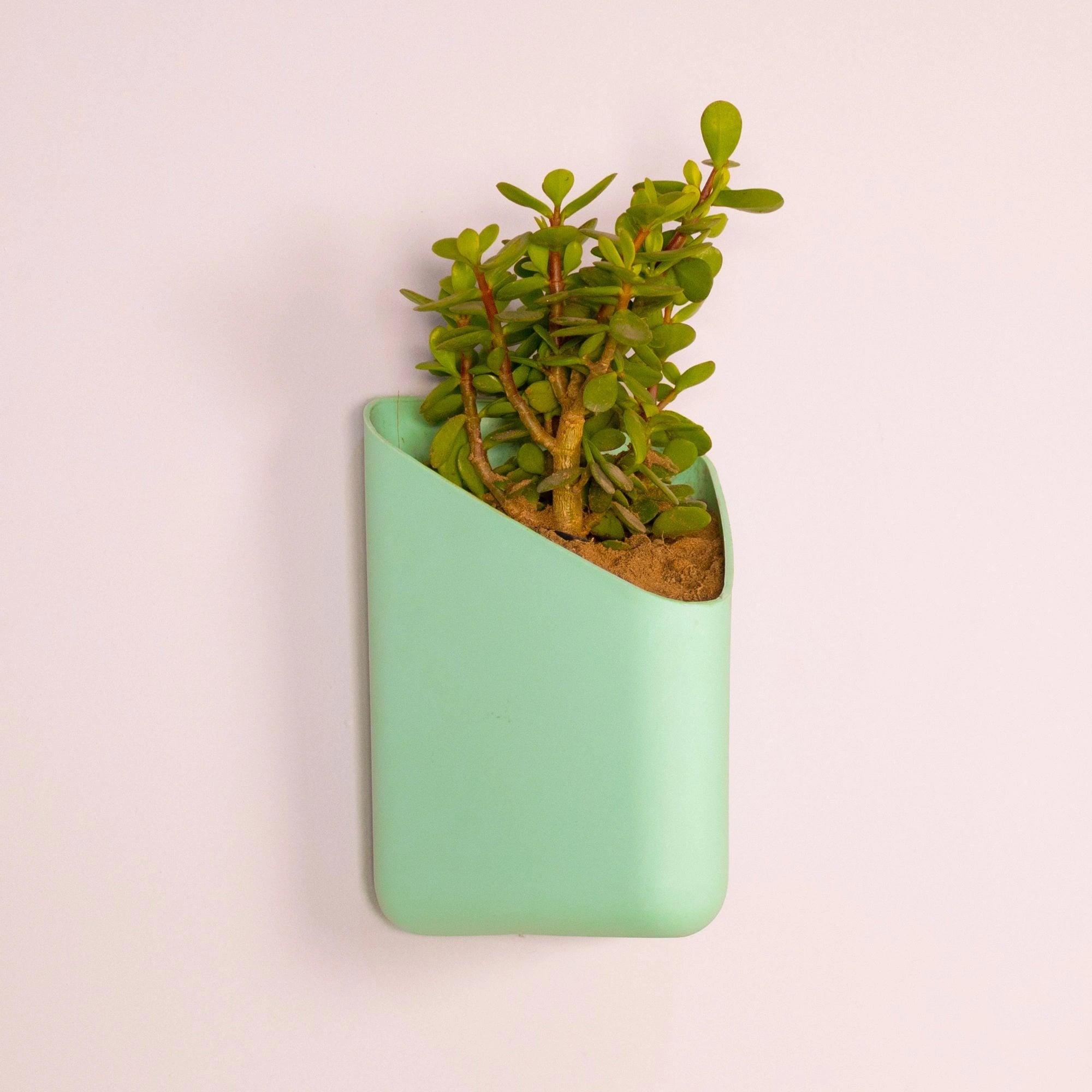 Prism Hanging Planter