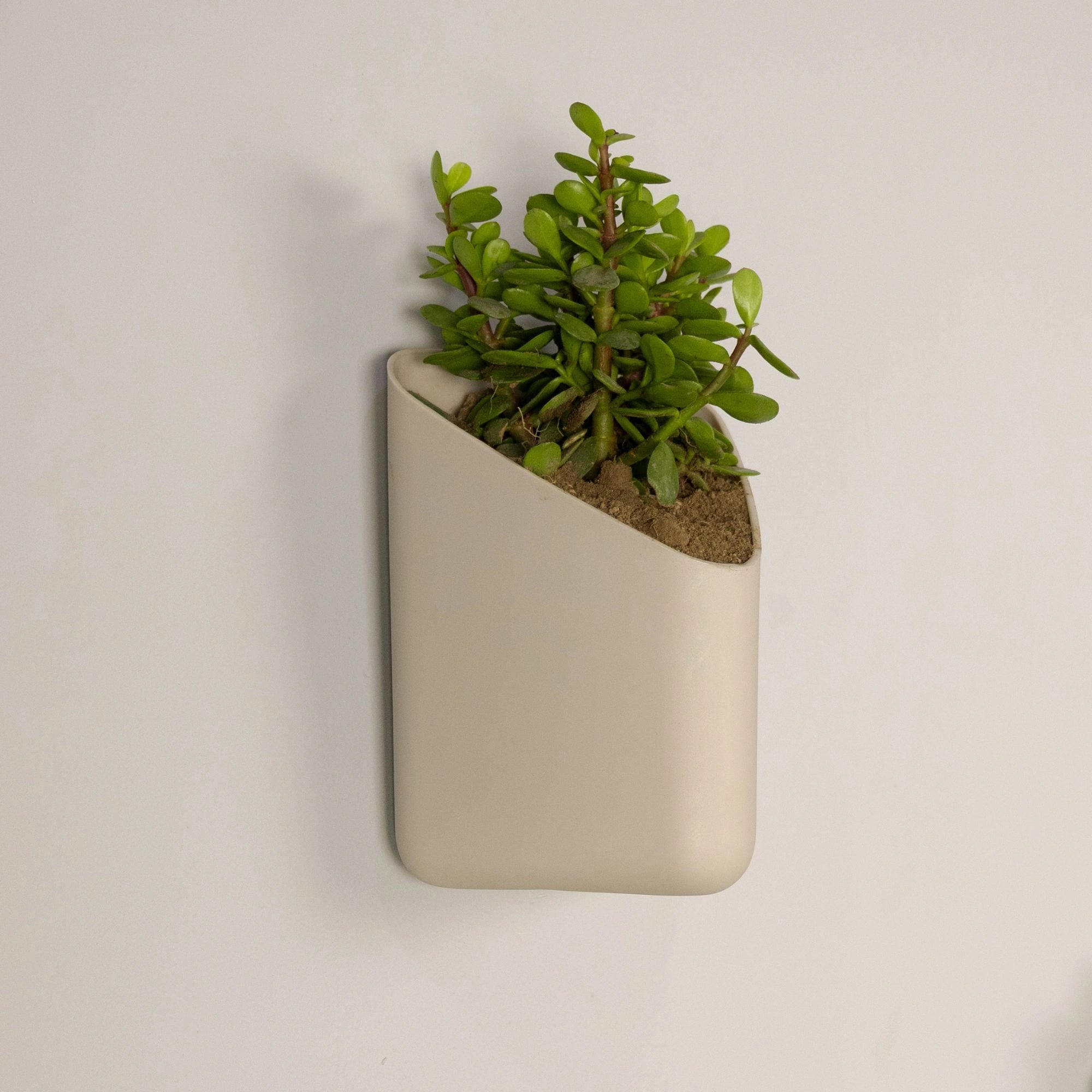 Prism Hanging Planter