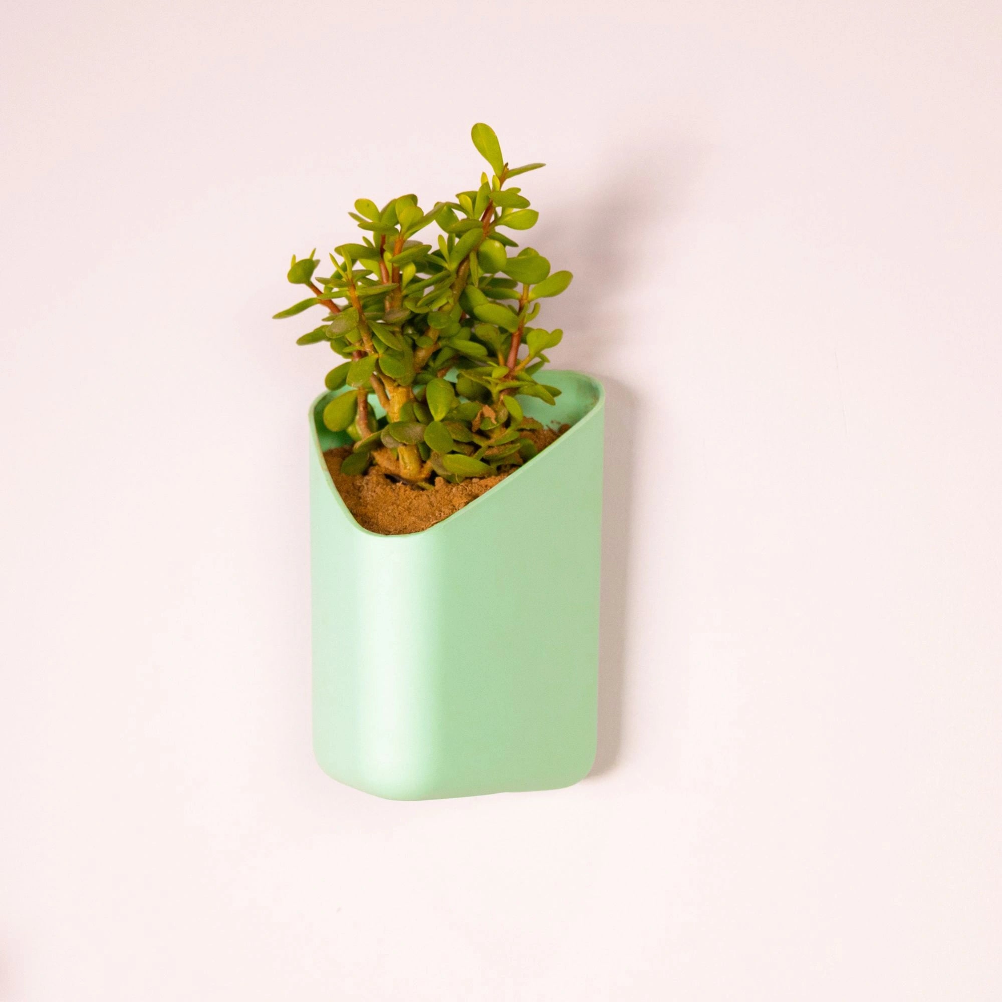 Prism Hanging Planter