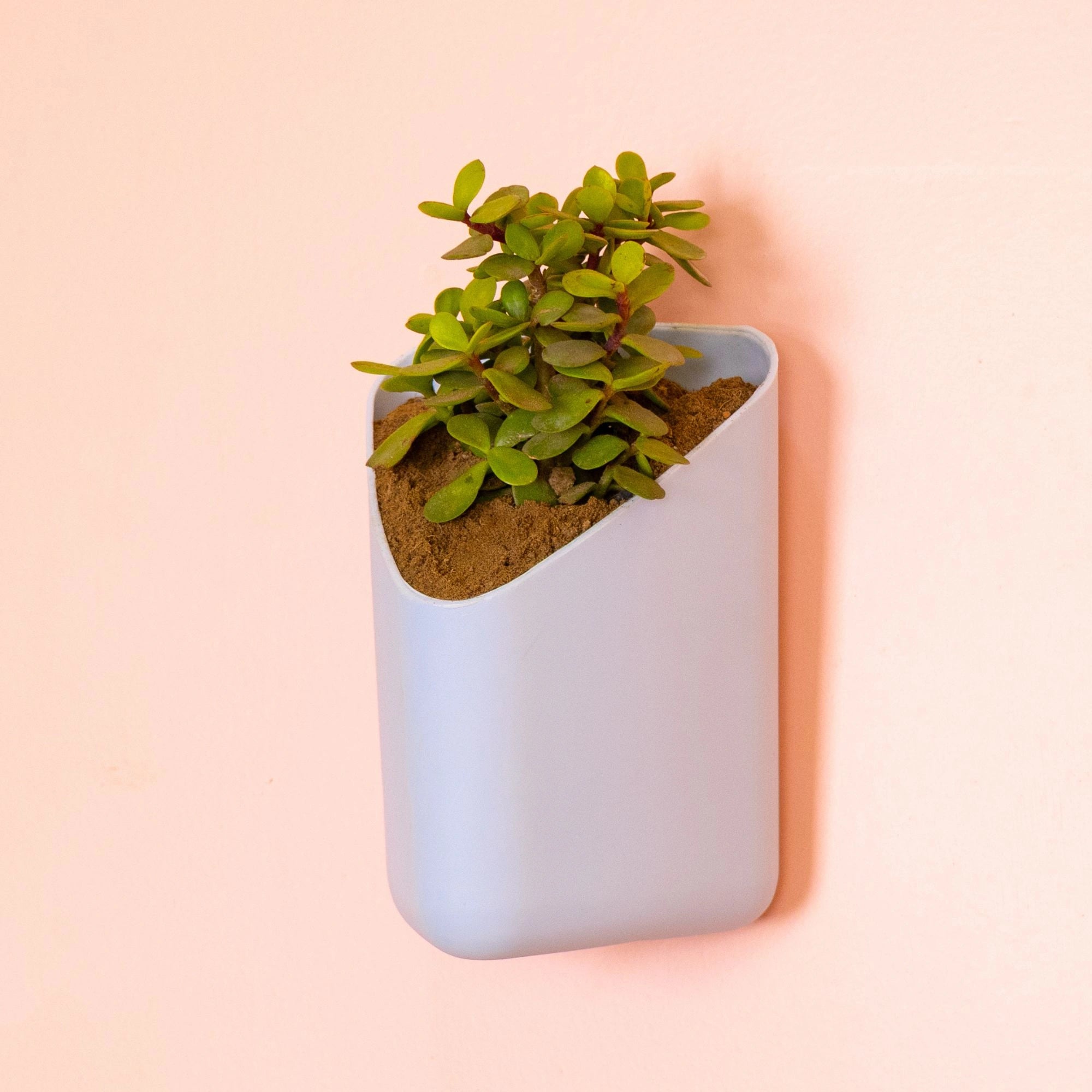 Prism Hanging Planter