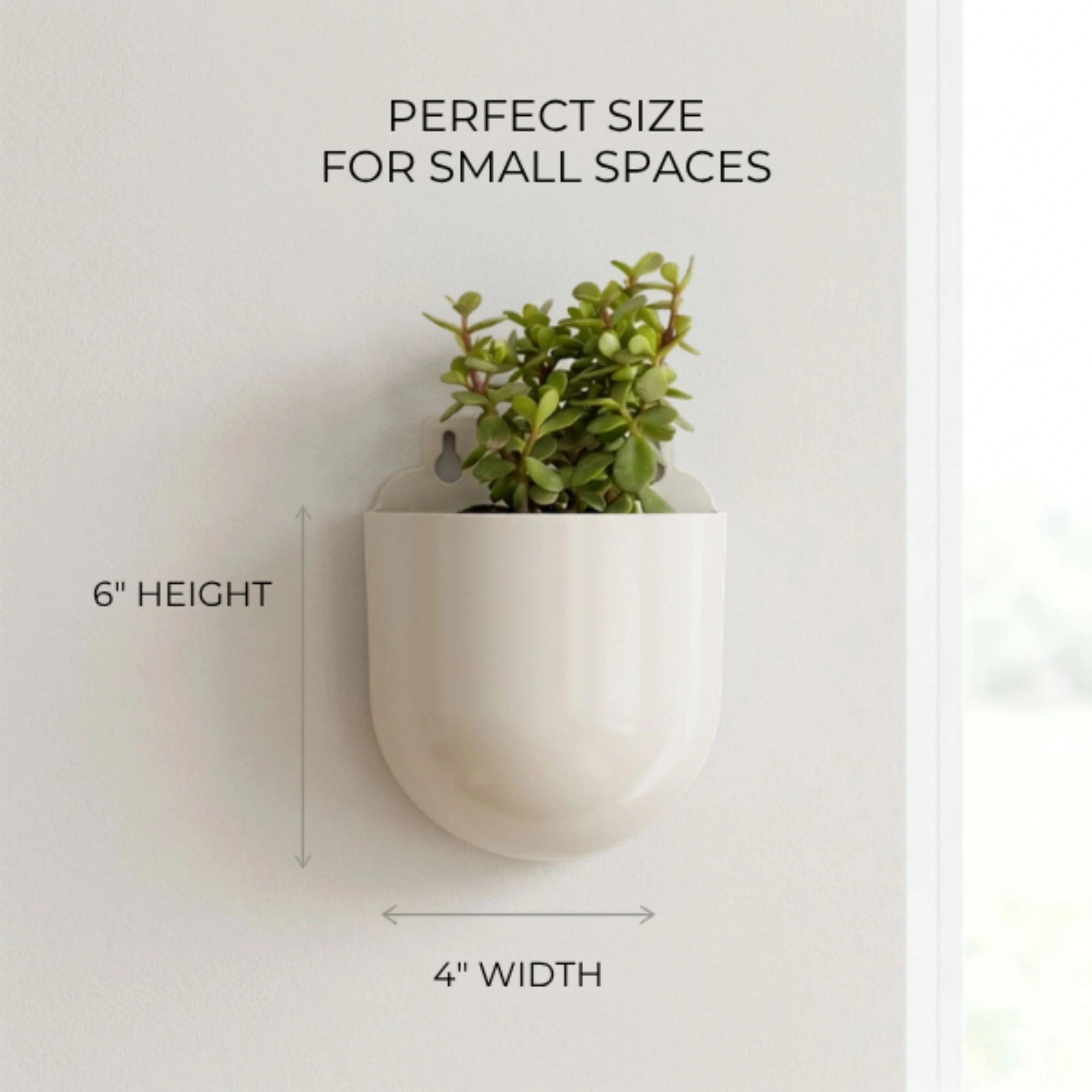 Bubble Hanging Planter