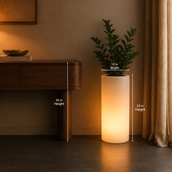 LED lamps planter for home