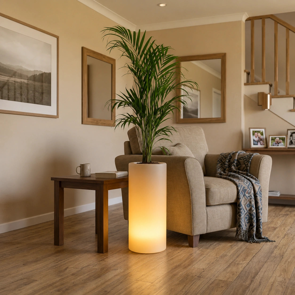 bliss Illuminated Planter for indoor space