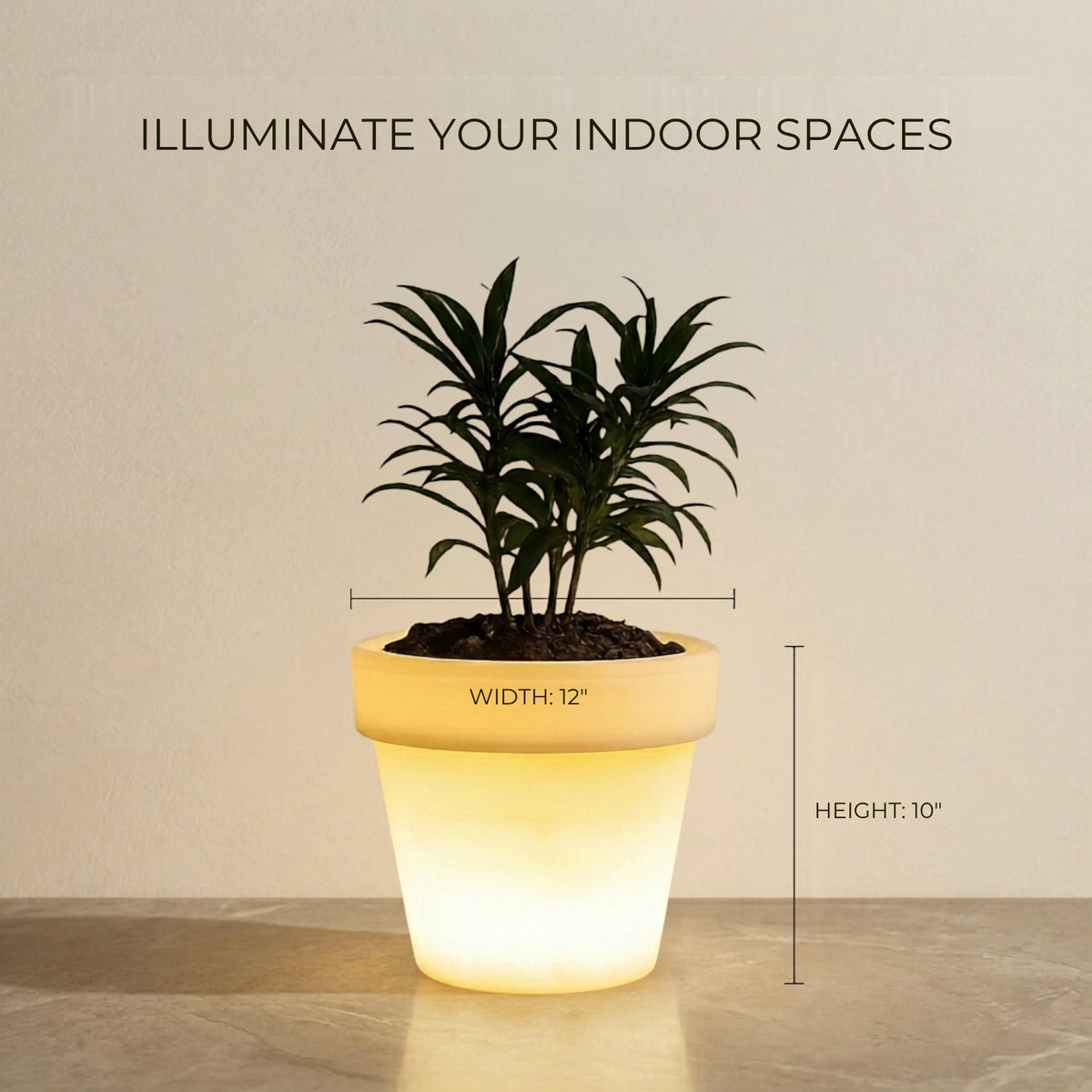 Curvada Illuminated Planter