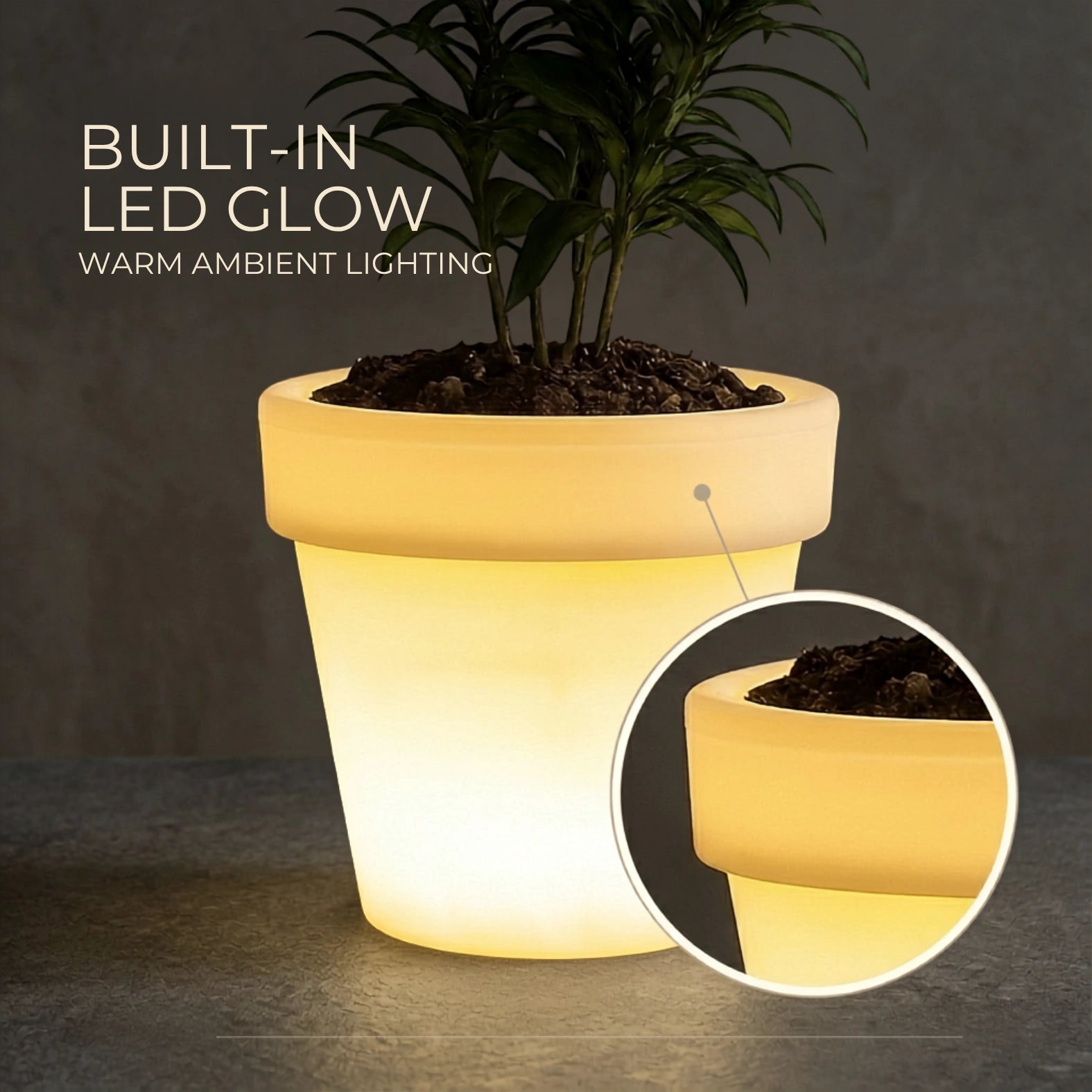 Illuminated Planter LED Glow