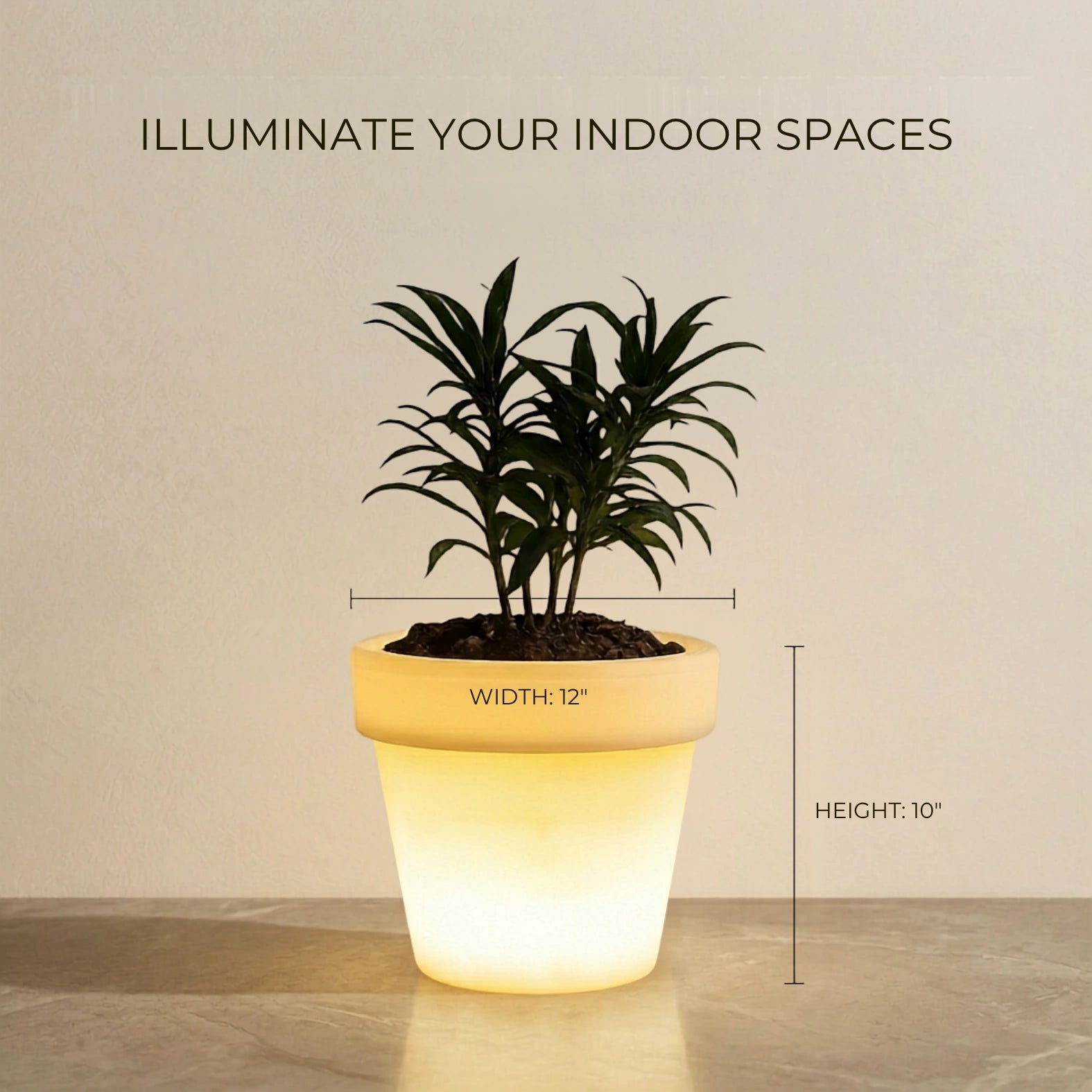 size of Curvada Illuminated Planter