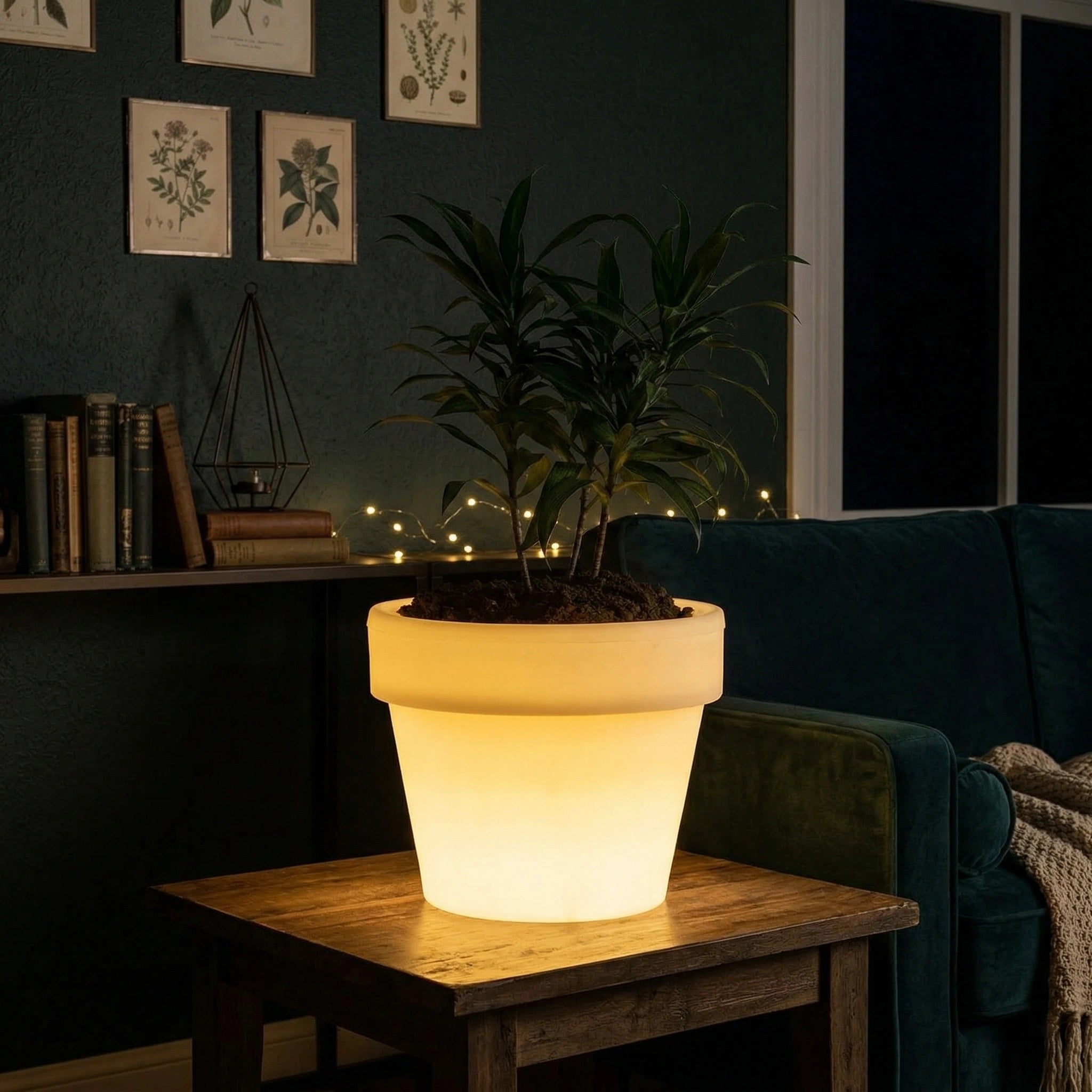 Curvada Illuminated Planter