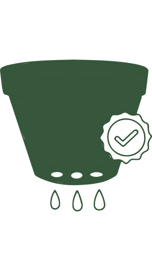 Ensure proper drainage