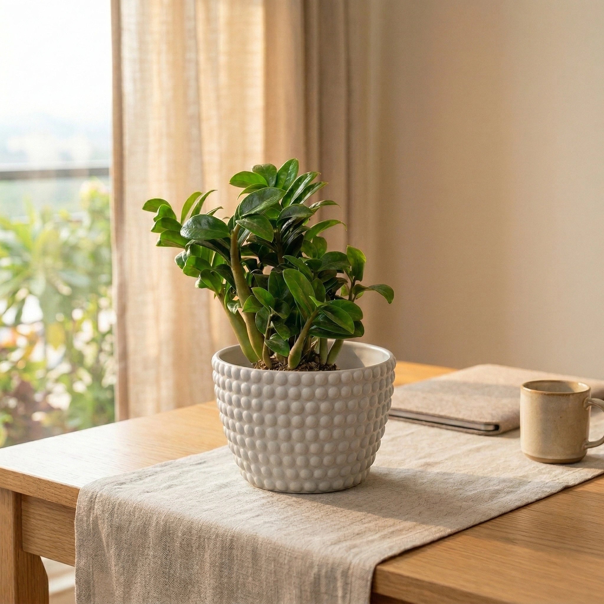 Polka Dot | Table Top Planter