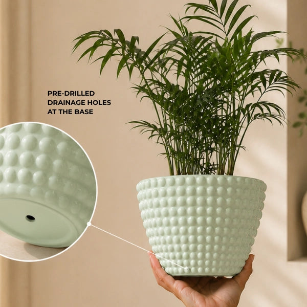 Polka Dot | Table Top Planter