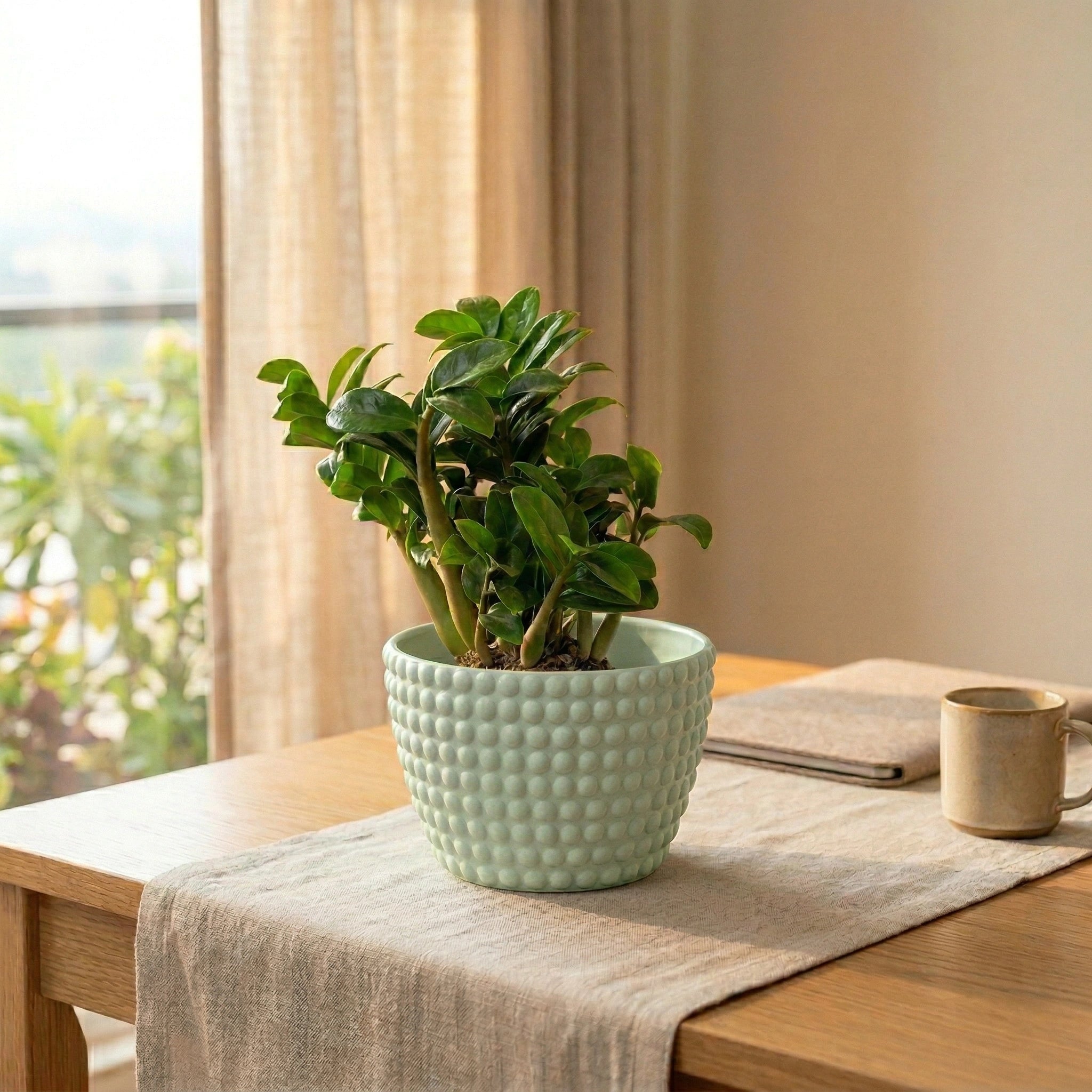 Polka Dot | Table Top Planter