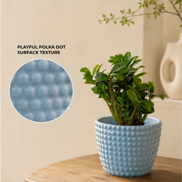 Polka Dot | Table Top Planter