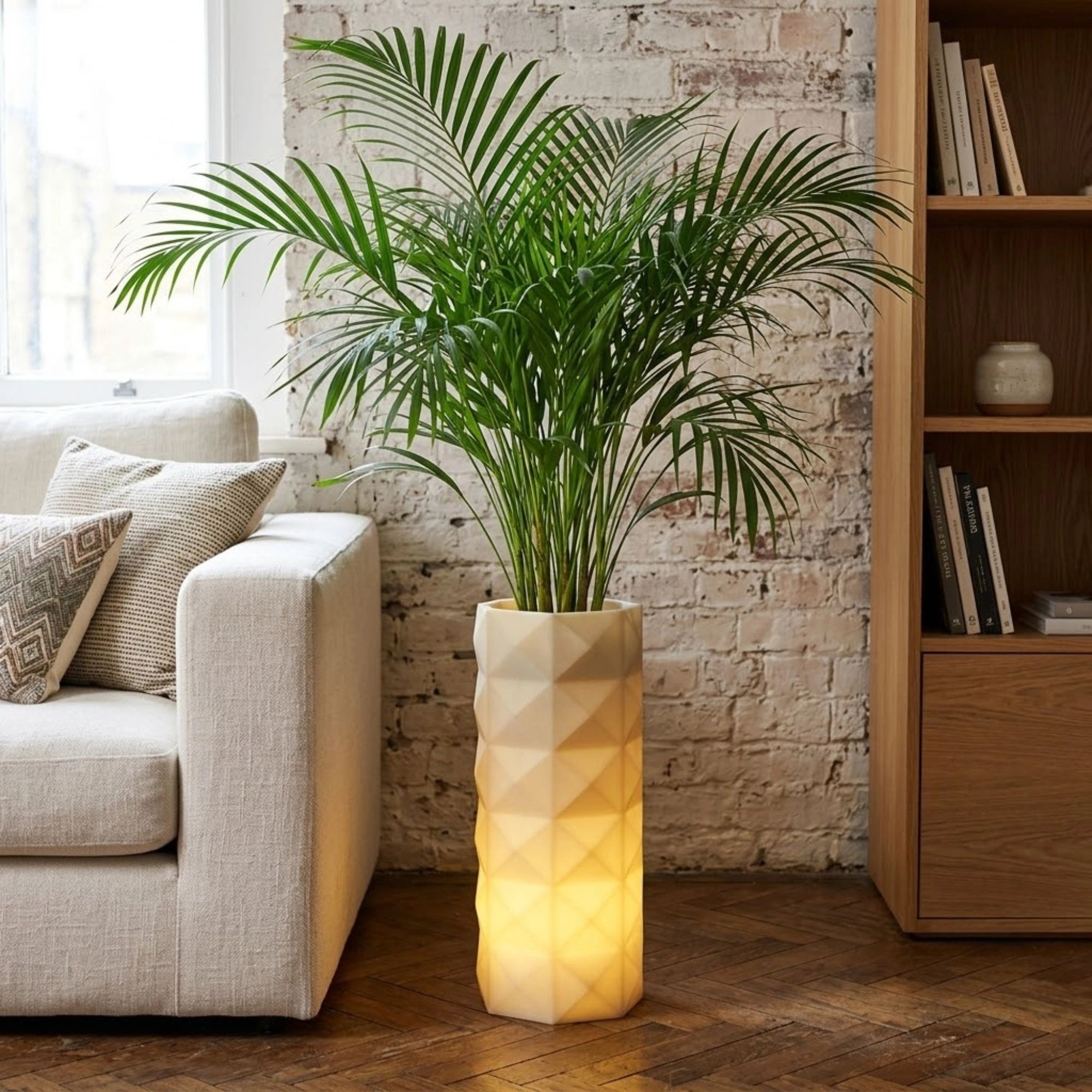 flux Illuminated planter for living room