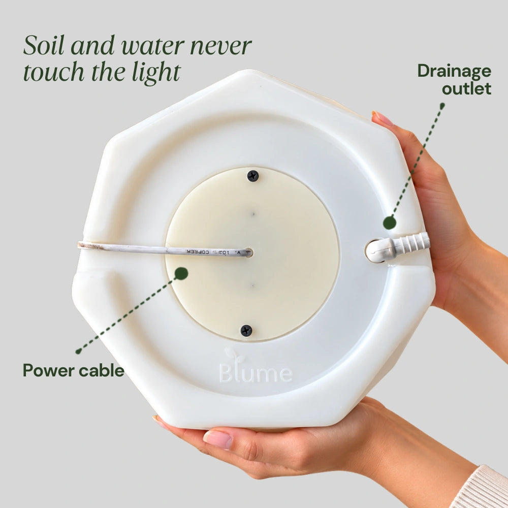 Flux Illuminated Planter