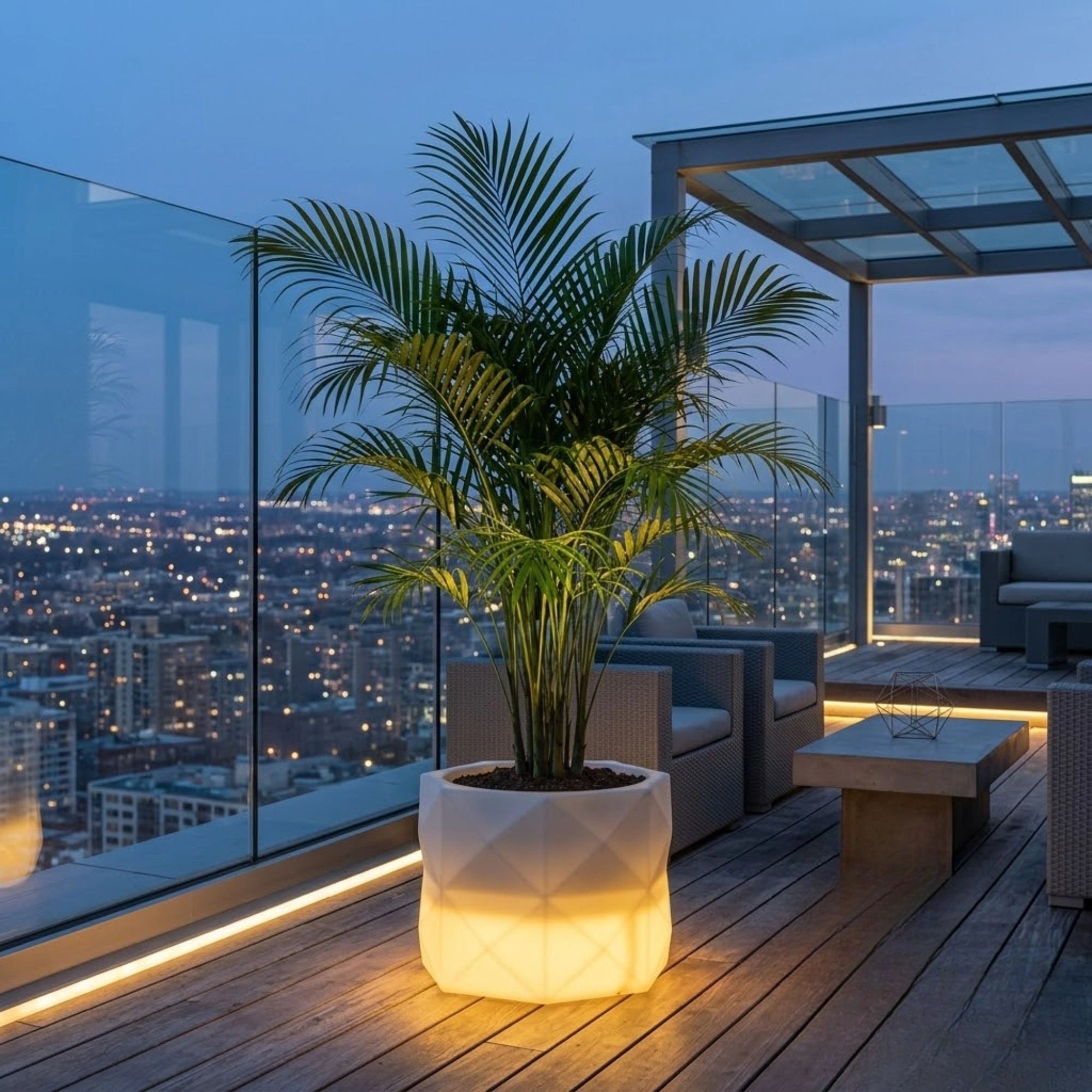 Flux Illuminated Planter