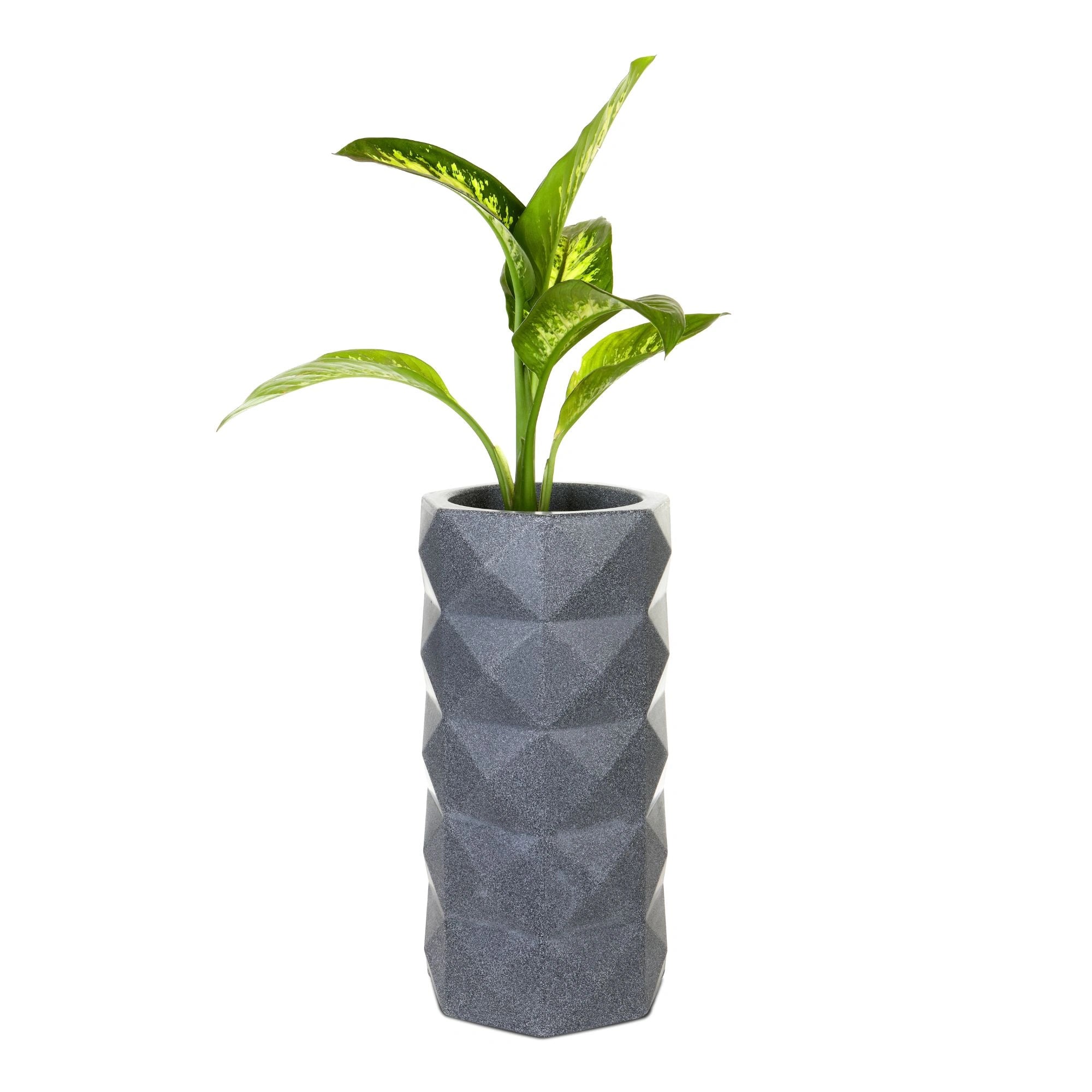 Dark Grey Stone