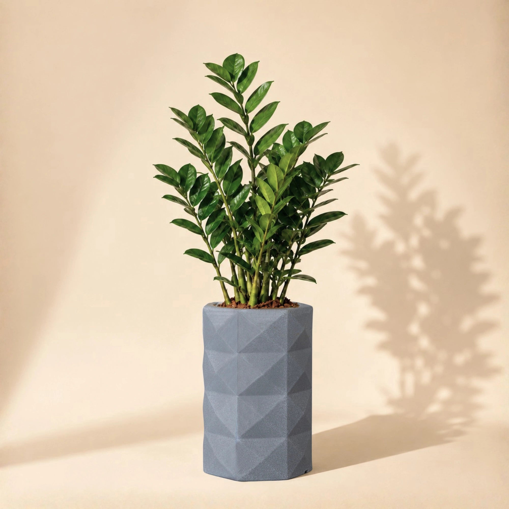 Flux Planter