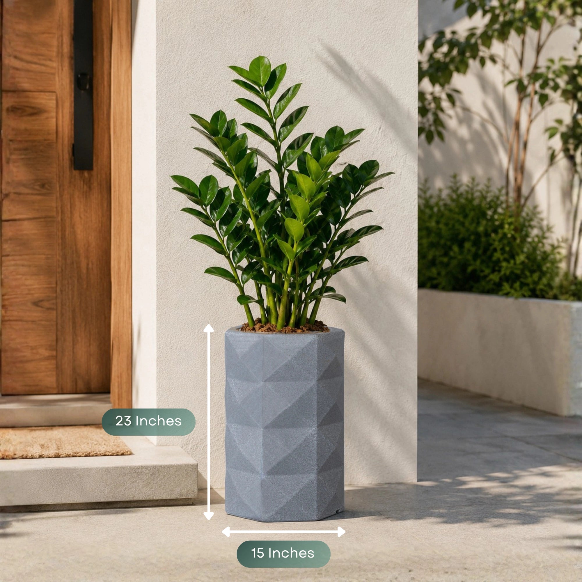 Flux Planter