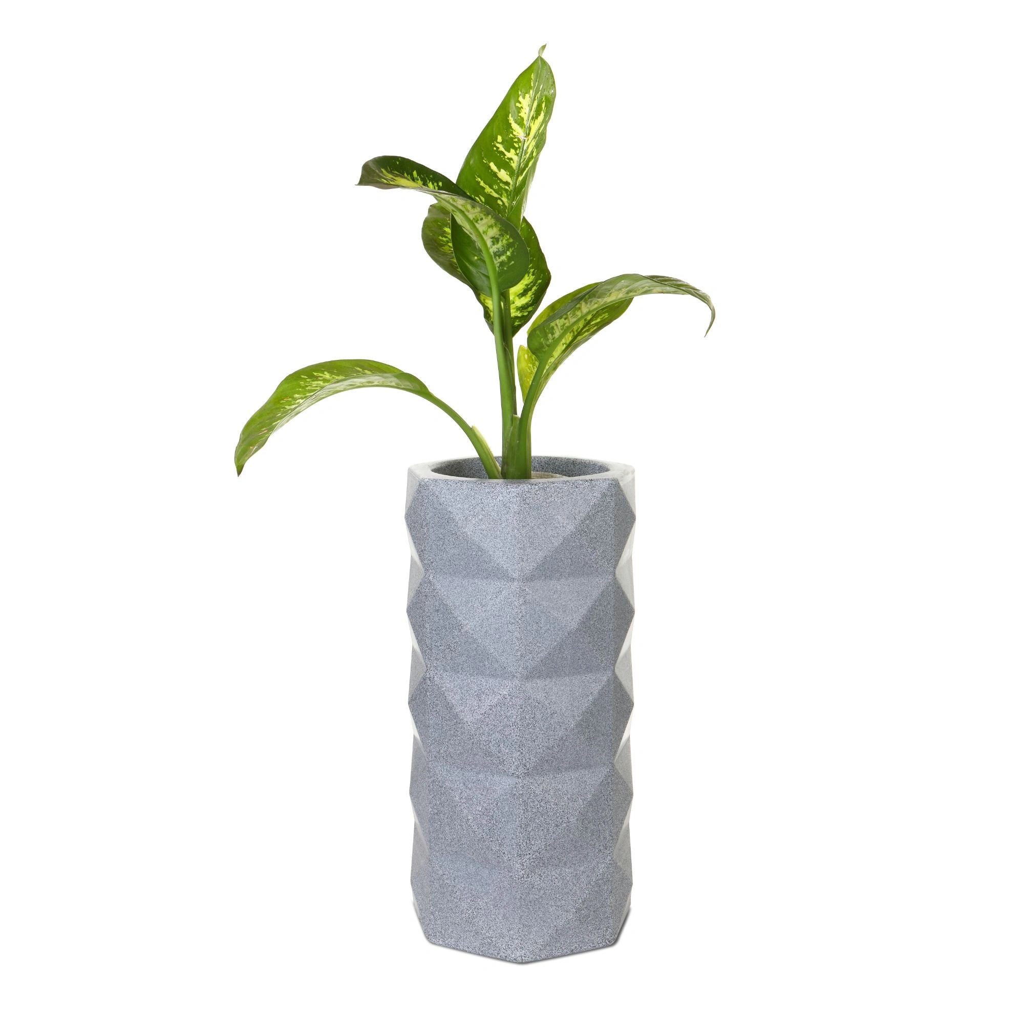 Light Grey Stone