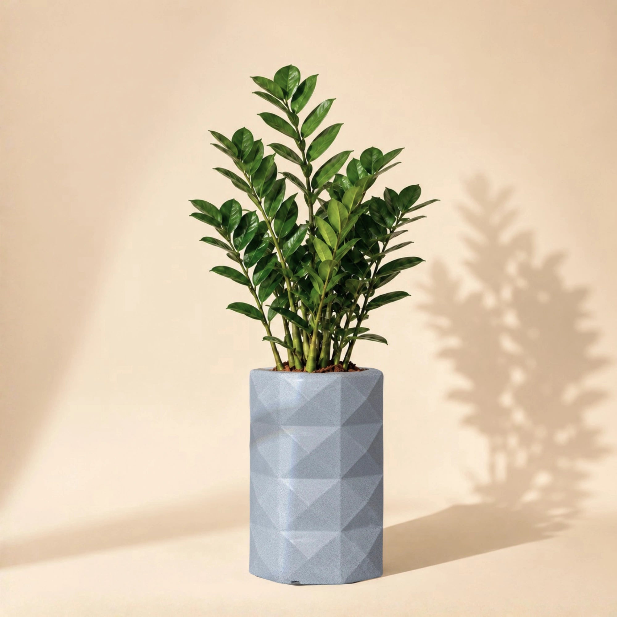 Flux Planter