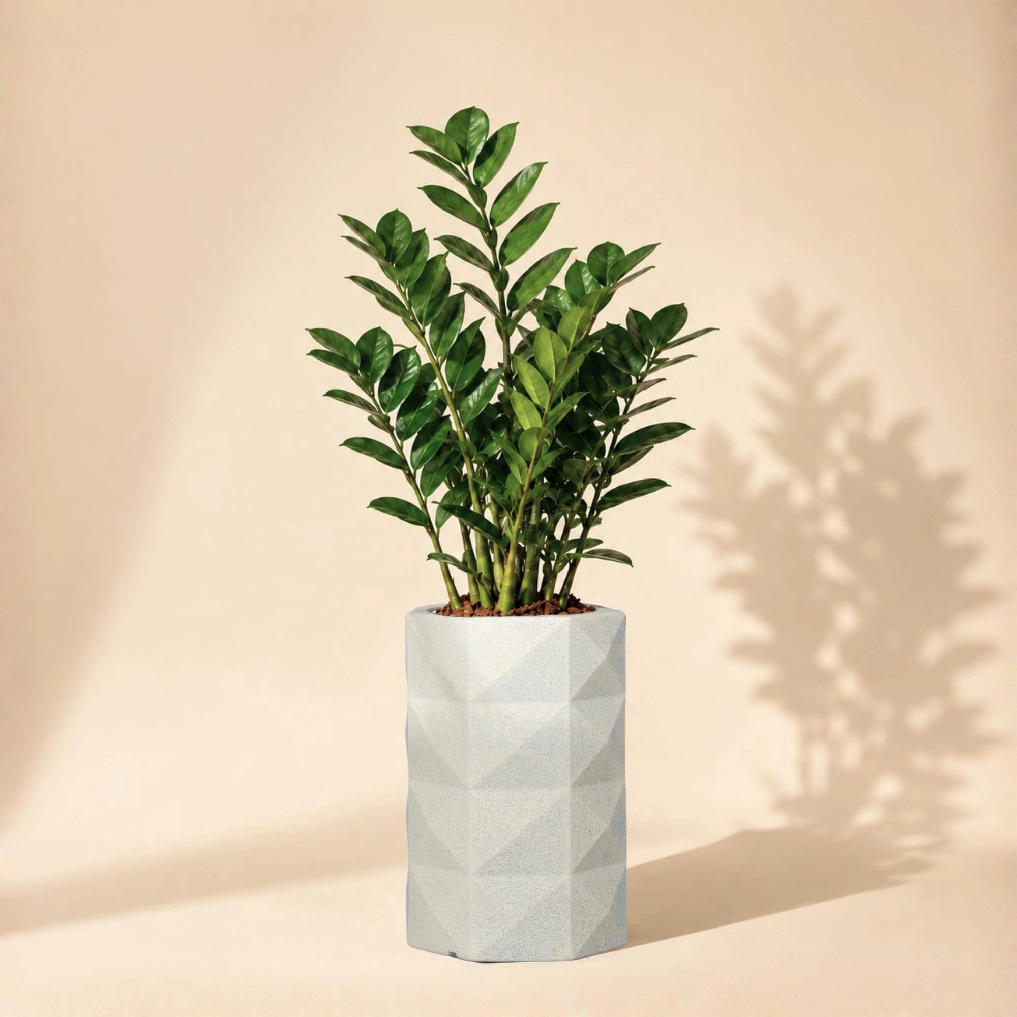 Flux Planter