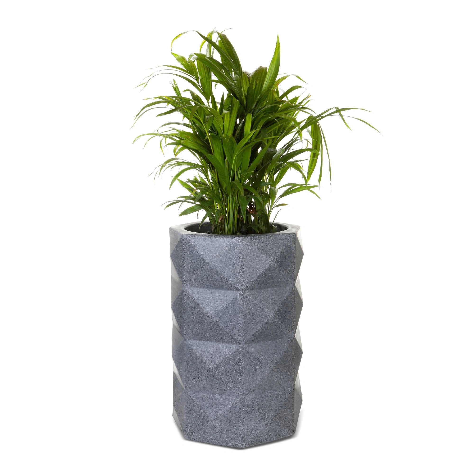 Dark Grey Stone