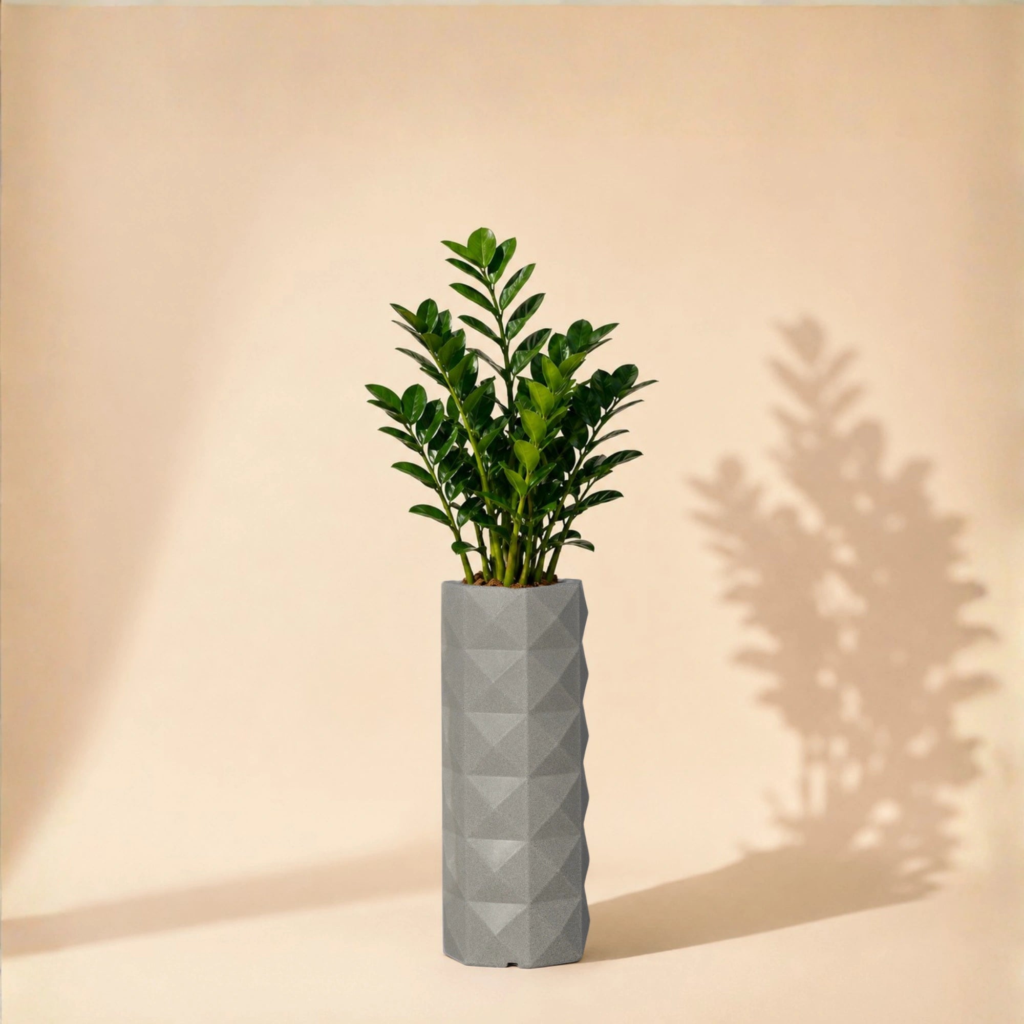 Flux Planter
