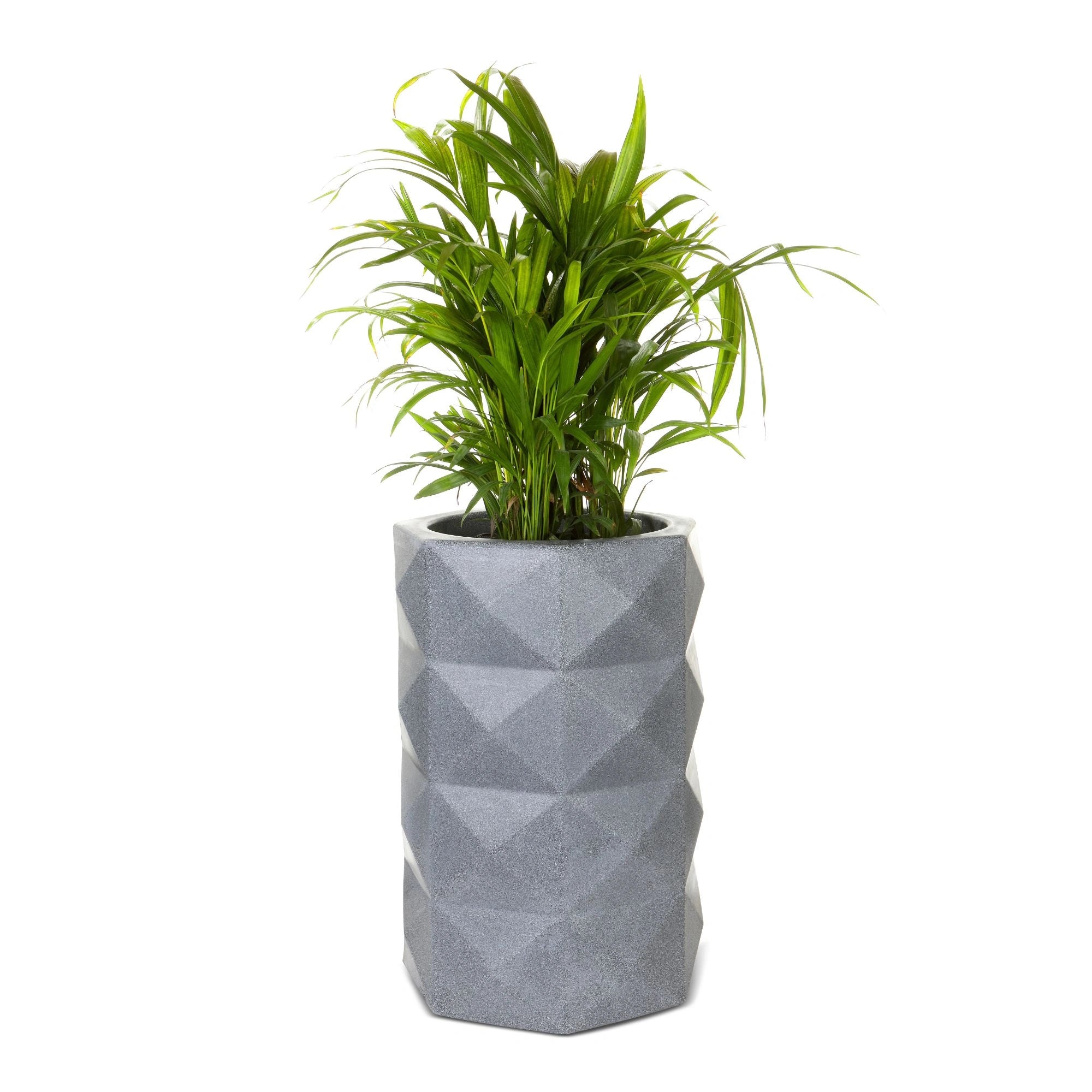 Light Grey Stone