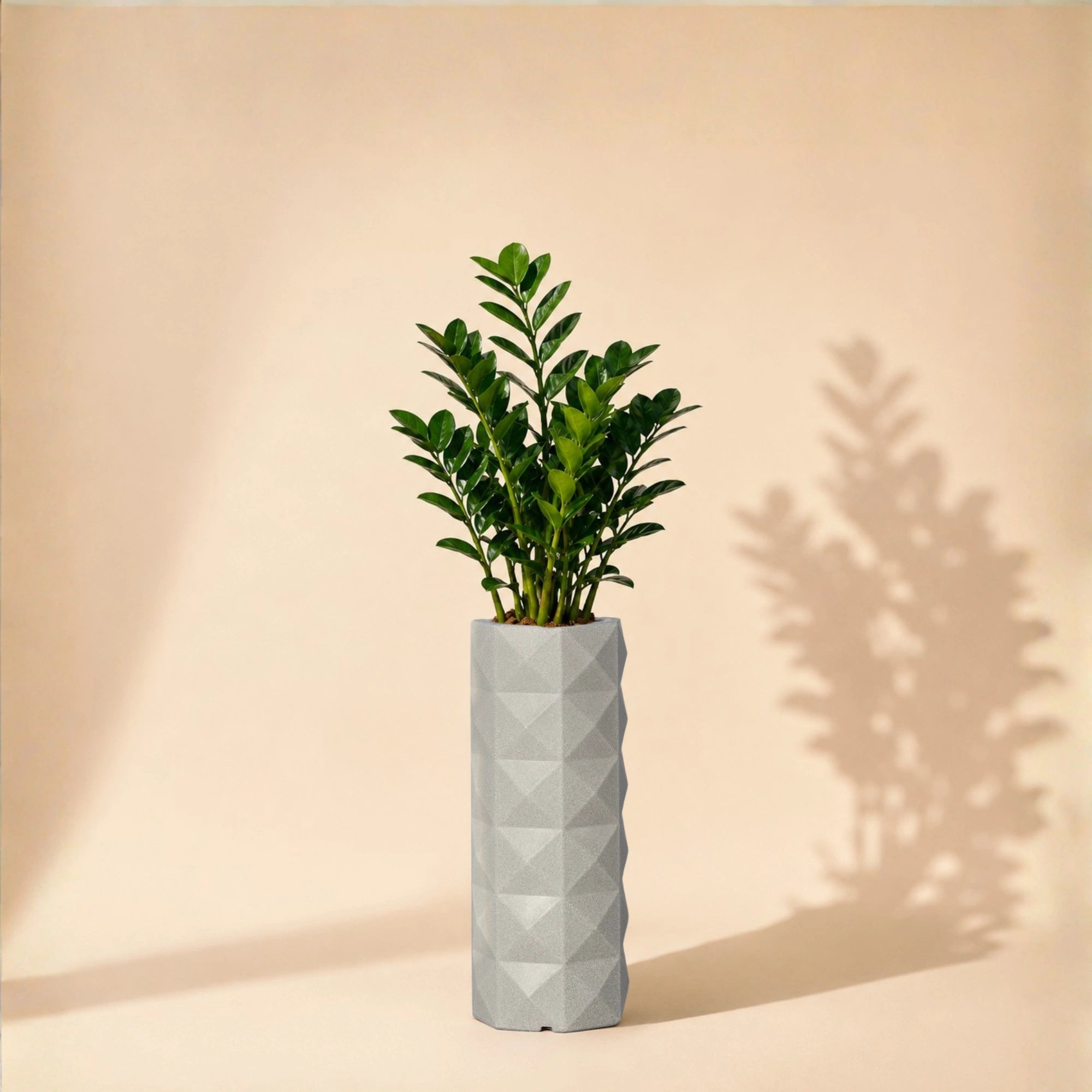 Flux Planter