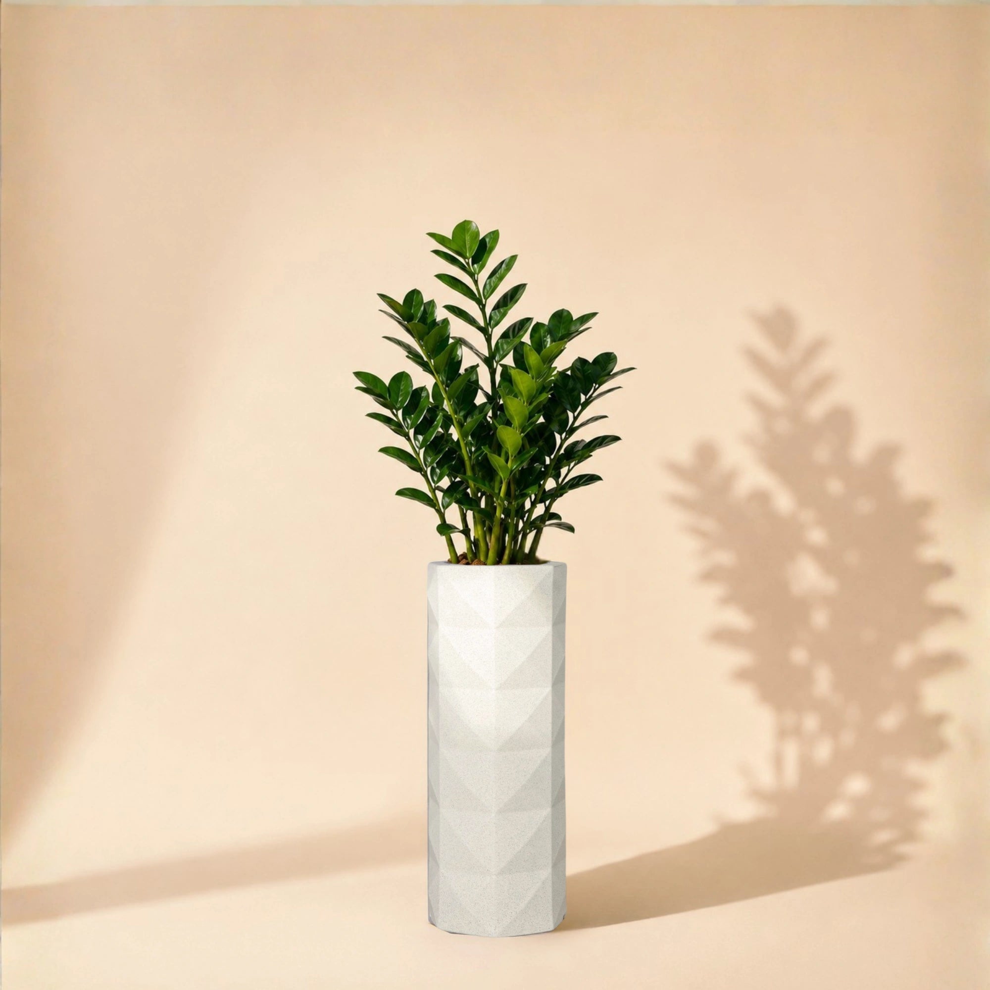 Flux Planter