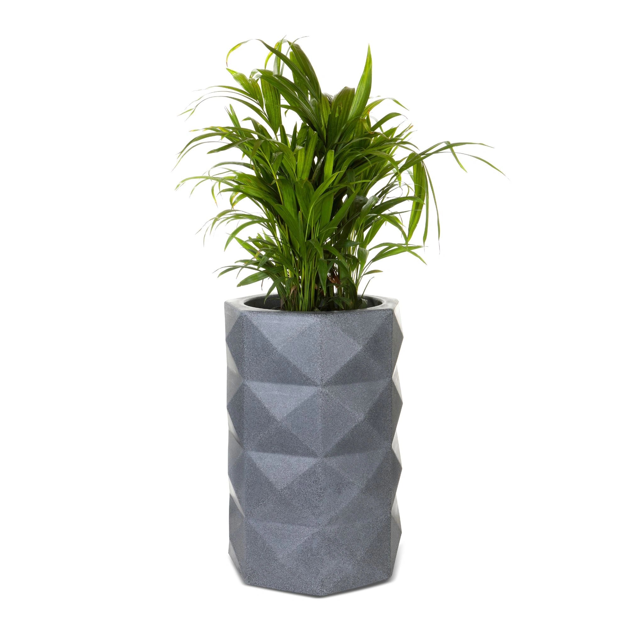 Dark Grey Stone