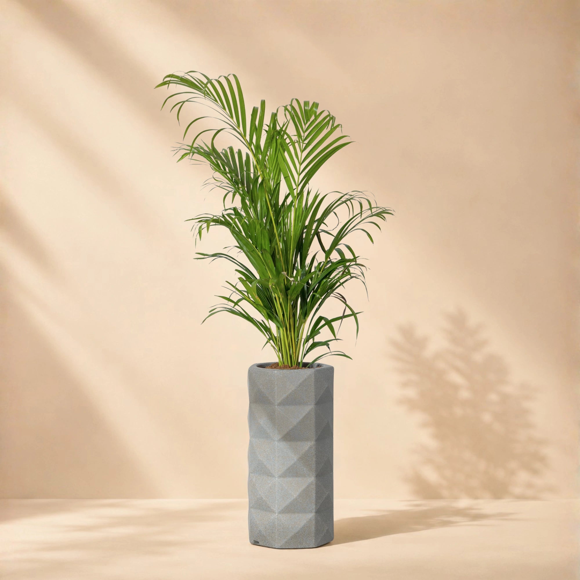 Flux Planter