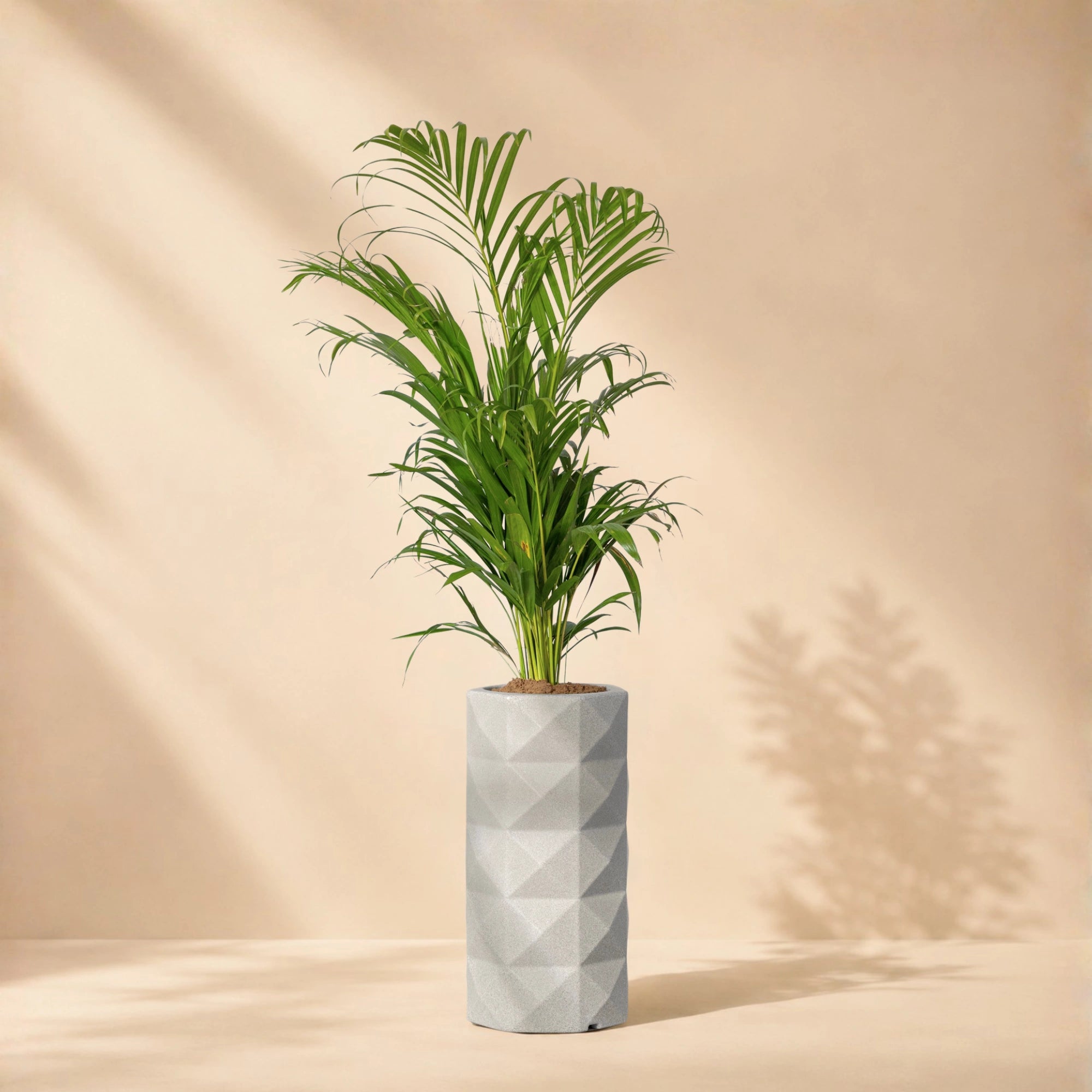 Flux Planter