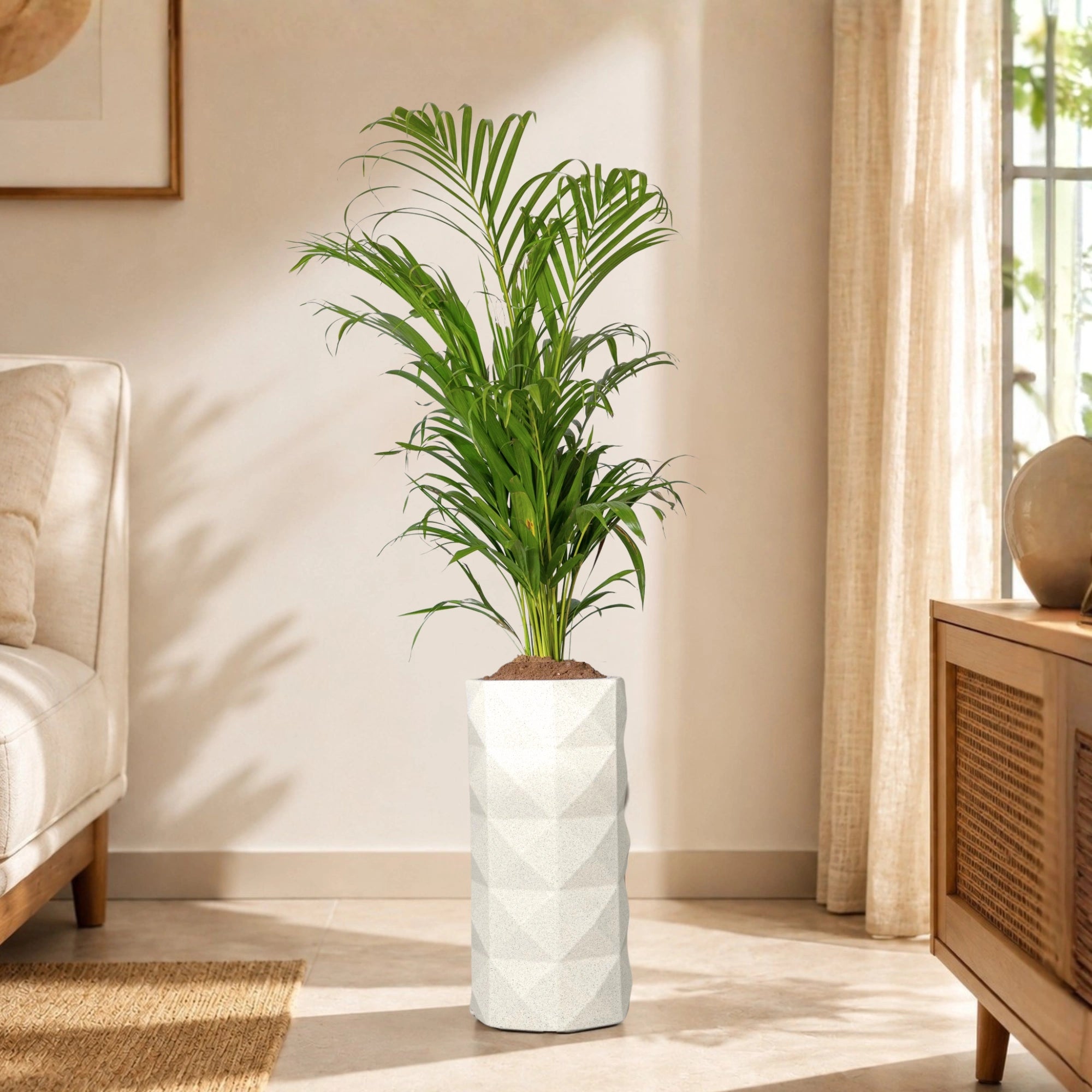 Flux Planter