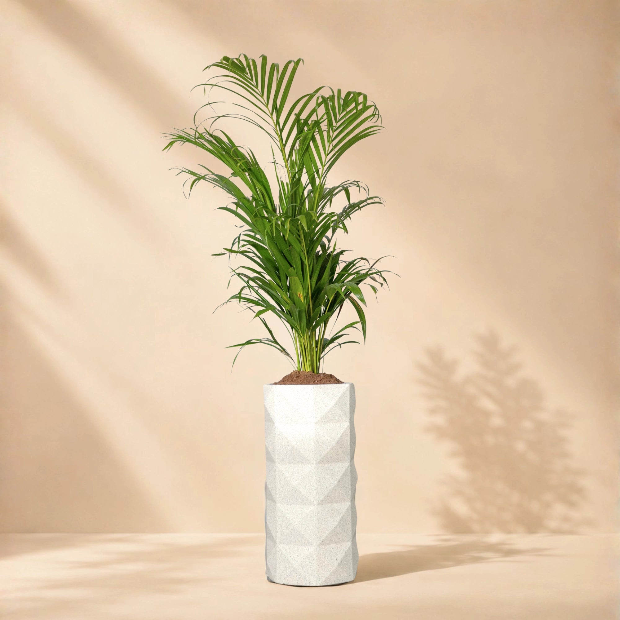 Flux Planter