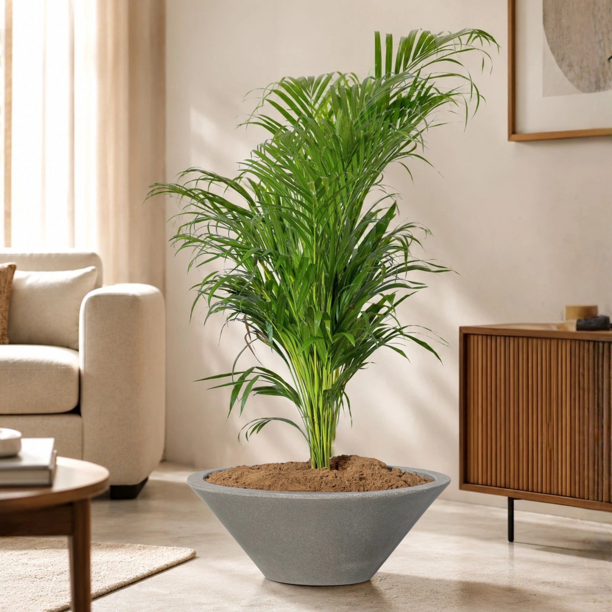 Klap Planter