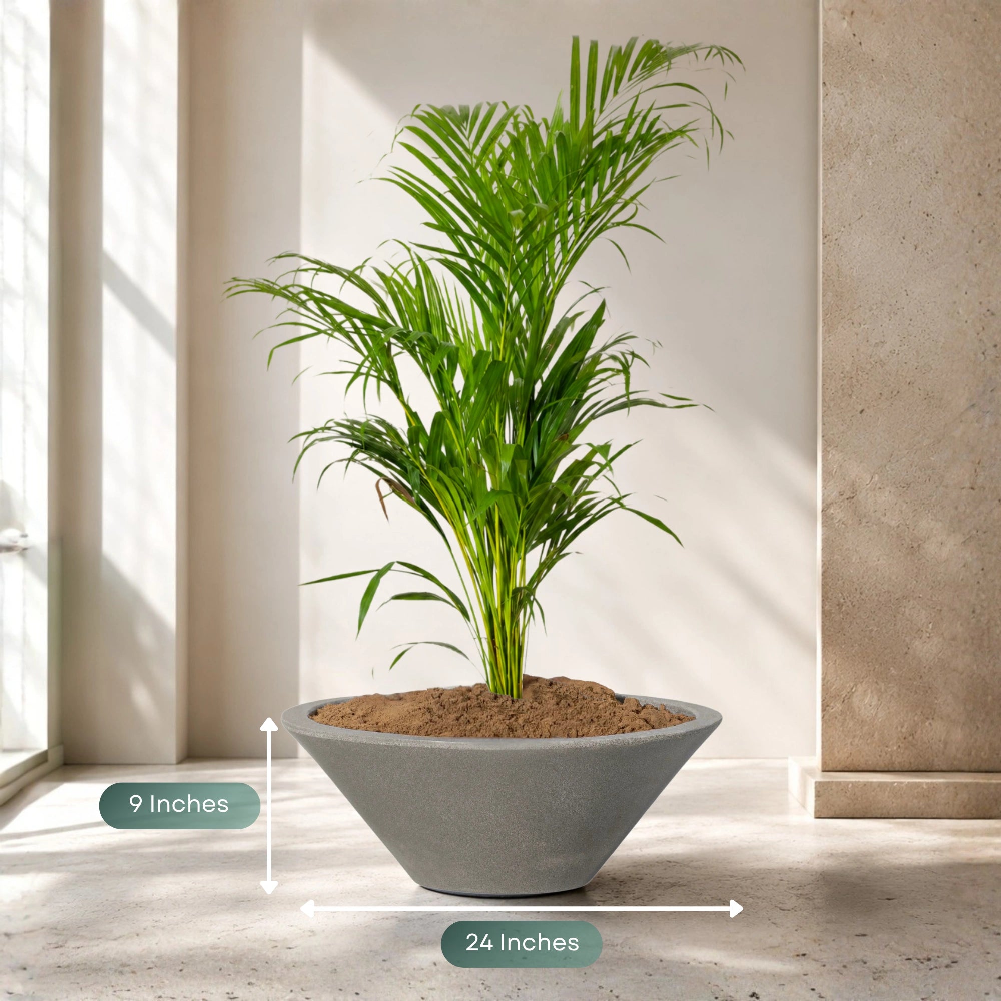 Klap Planter